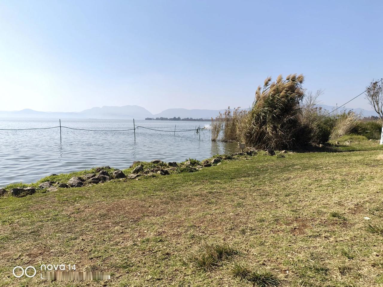 昆明看海鸥没必要挤到海埂大坝。
环湖路这一片，连着的湿地公园都不错，就是有点费馒