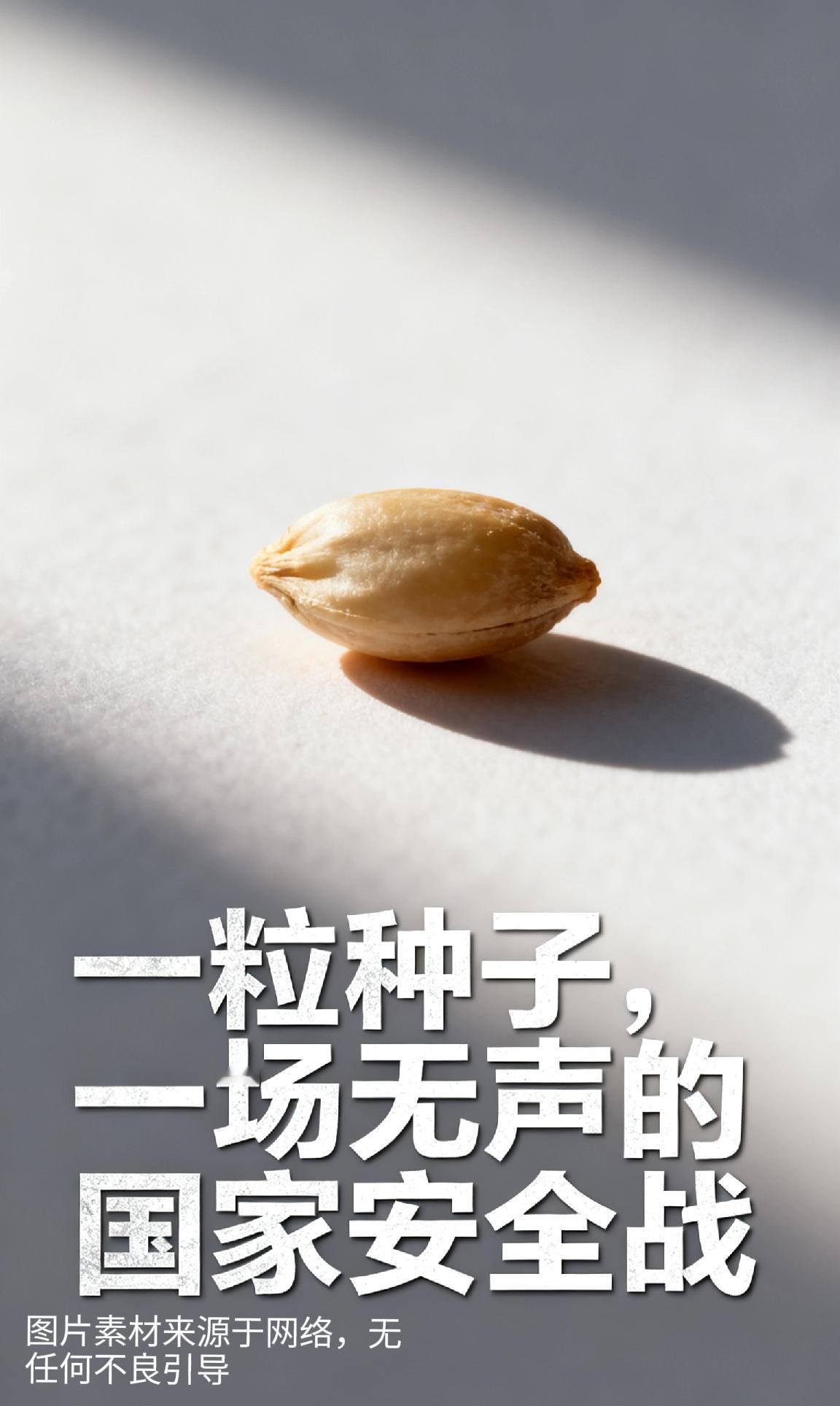 前言：一粒种子，一场无声的国家安全战
 
农业圈最近不太平，一场堪比谍战大片的闹