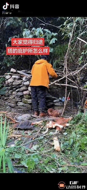 有网友看了个评论，
觉得太经典了，
说“这庇护所看着跟危房似的，裁判长说话都跟怕