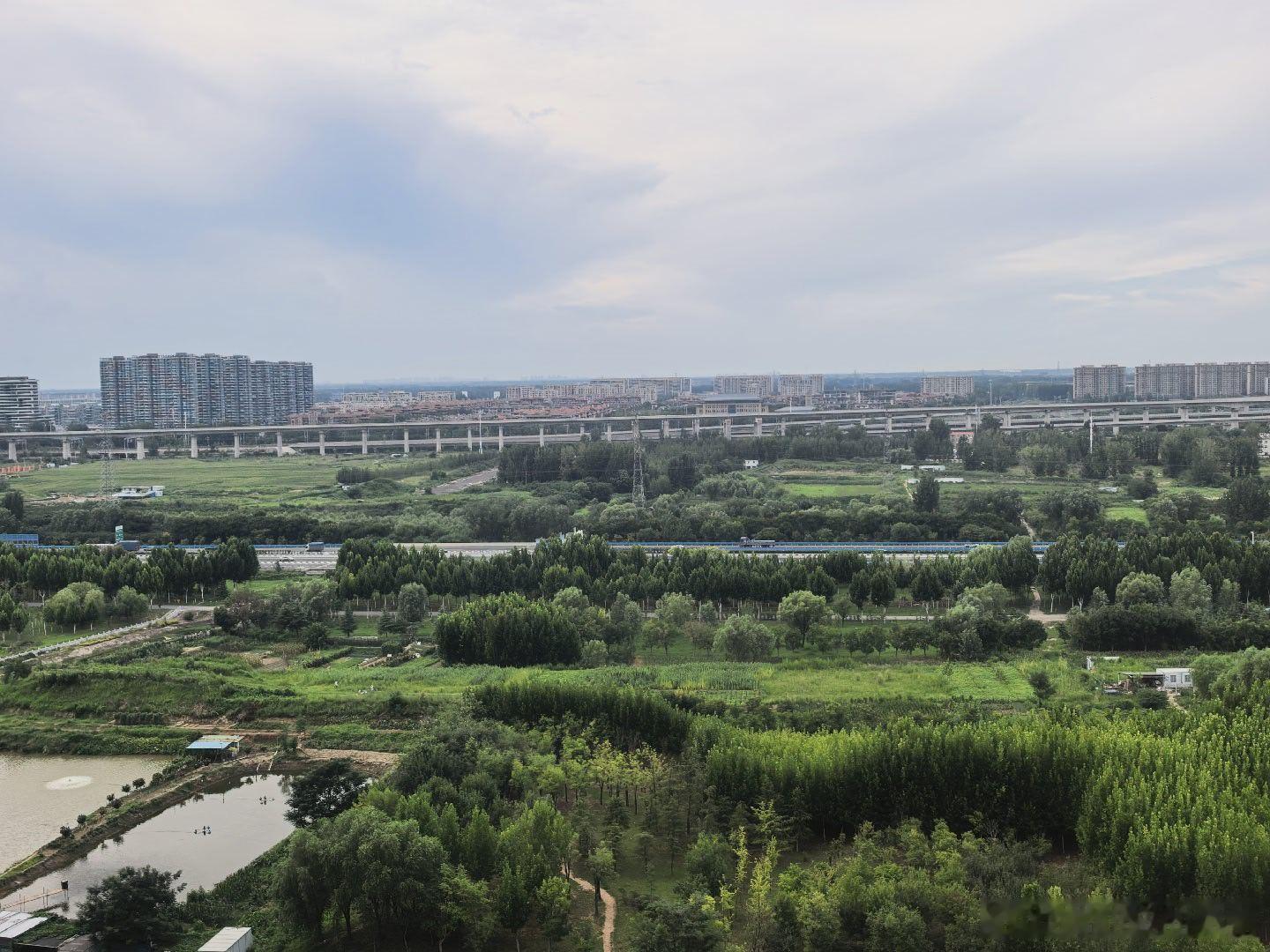 远望黄河桥🏃🏃 