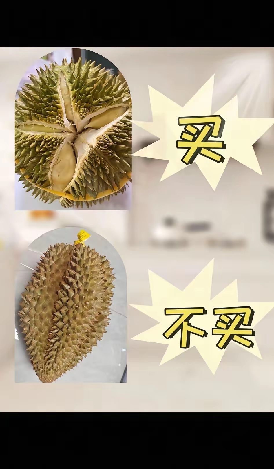 泰国榴莲开园采摘国内迎来榴莲自由挑榴莲，先看外形。要选圆润饱满、鼓包明显的，每个
