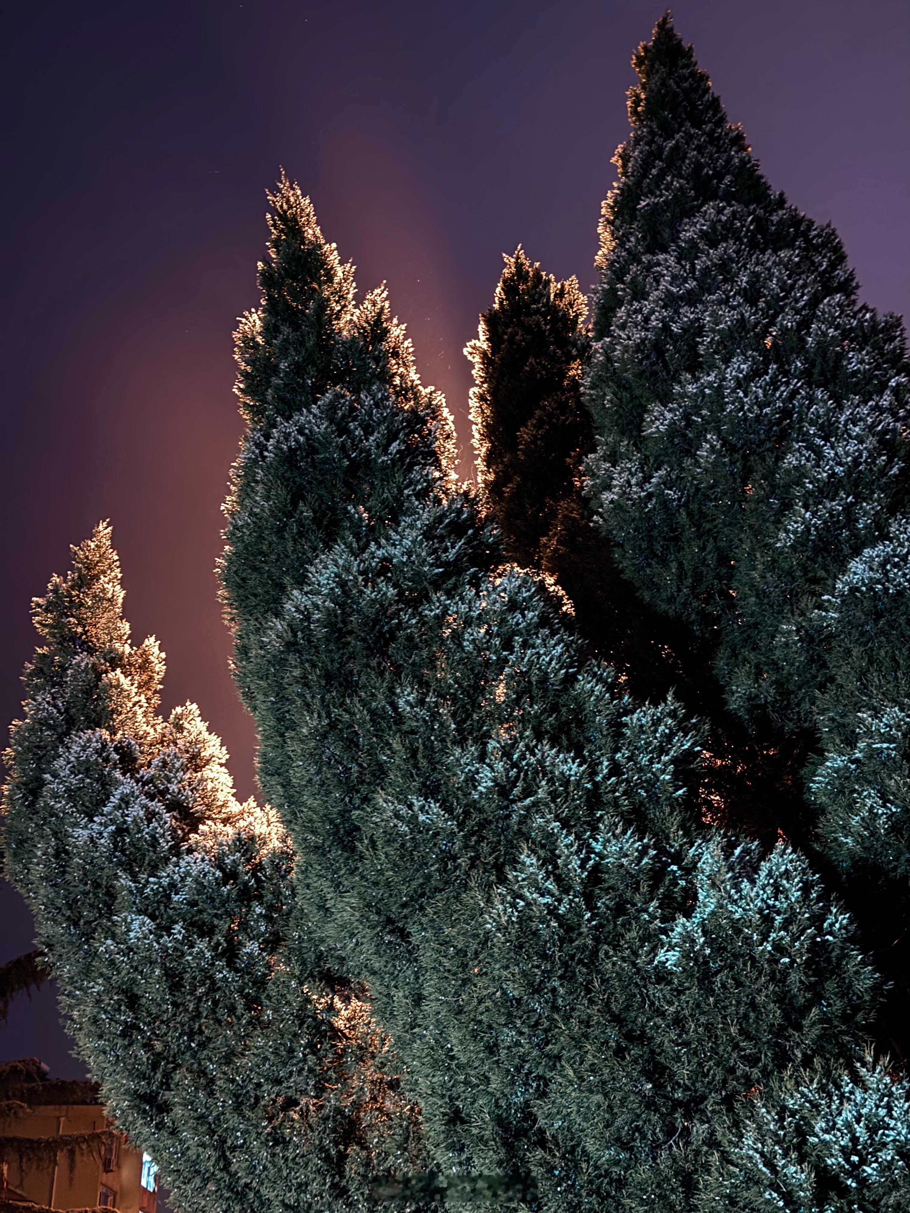 半夜才发现竟然下！雪！了！思考了一分钟就下楼跑到海边看雪虽然是小雪但是是青岛今年