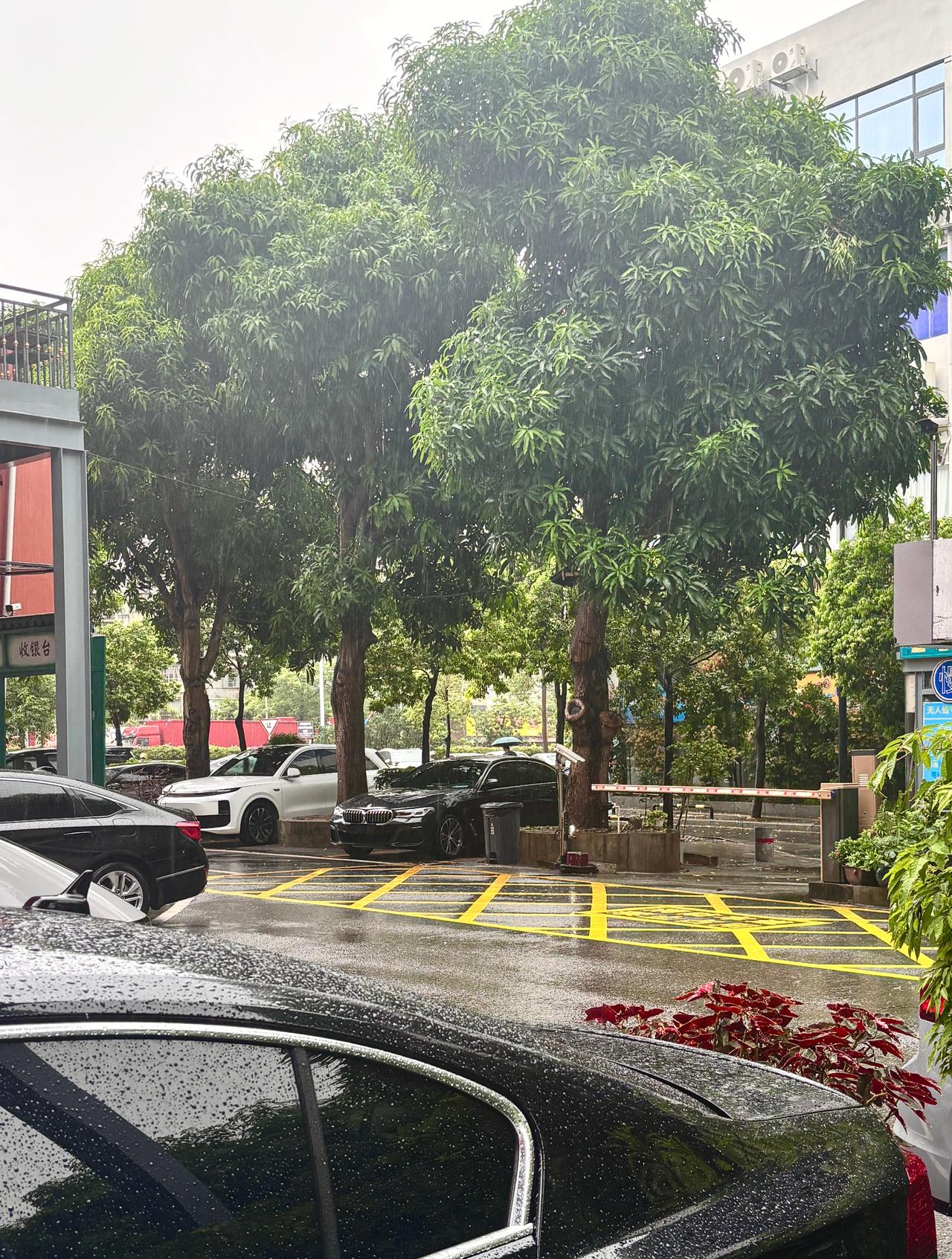 top到珠海了？昨天还是大太阳今天暴雨雷鸣的。 ​​​