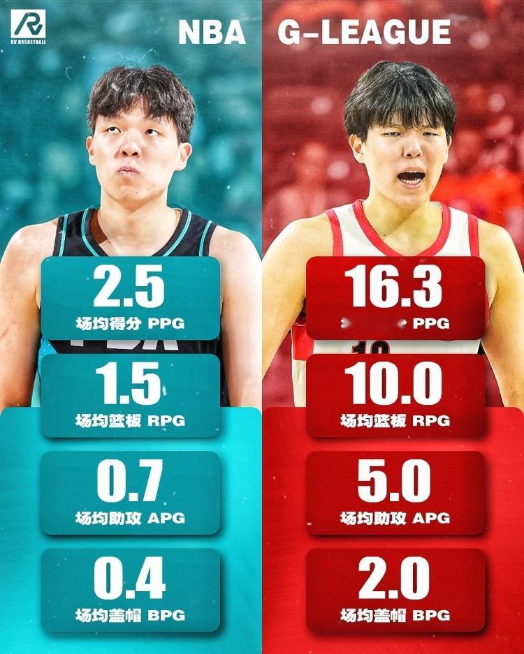 实战的意义！杨瀚森NBA数据对比！
中国男篮的希望之星——杨瀚森在NBA场均2.