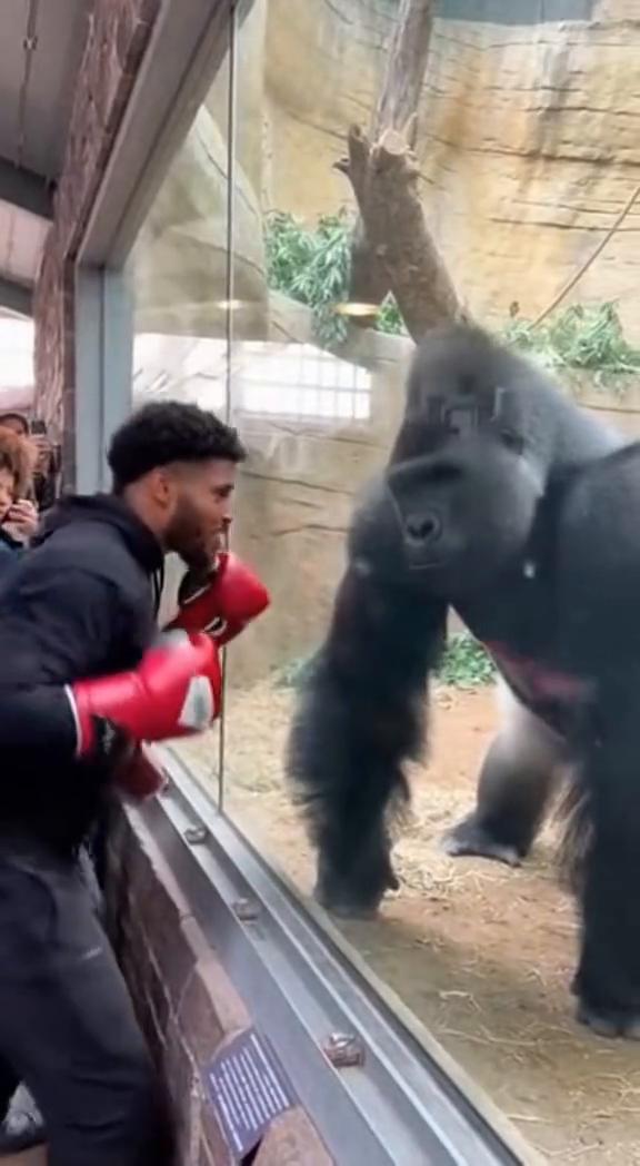 You see him，keep watching me watch this 