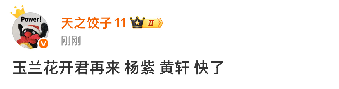 杨紫黄轩玉兰花开君再来快宣了杨紫黄轩或演玉兰花开君再来杨紫黄轩或演玉兰花开君再来
