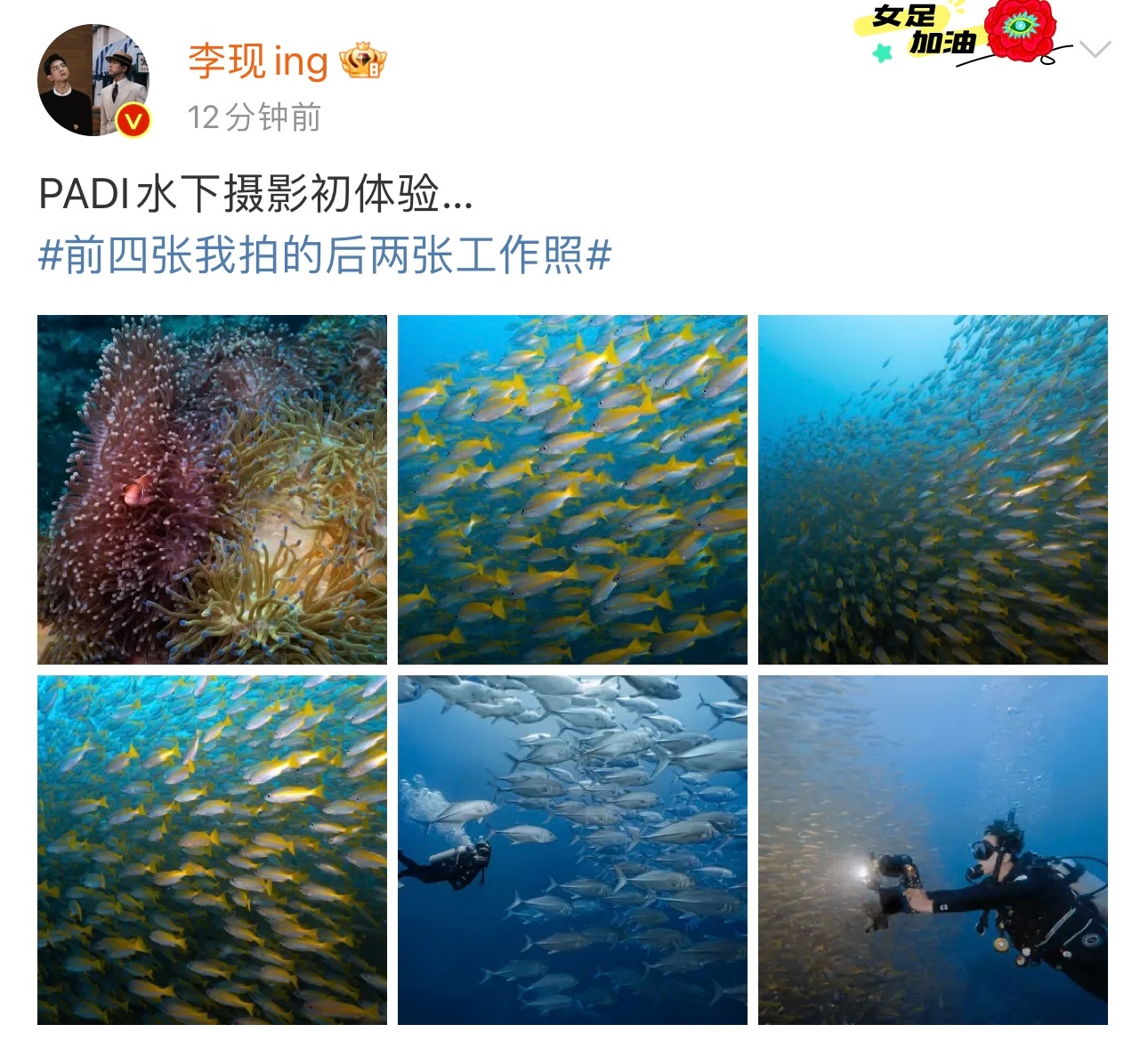#李现拍的海底世界# 晒图发文“PADI水下摄影初体验…”全世界来看李现拍的海底