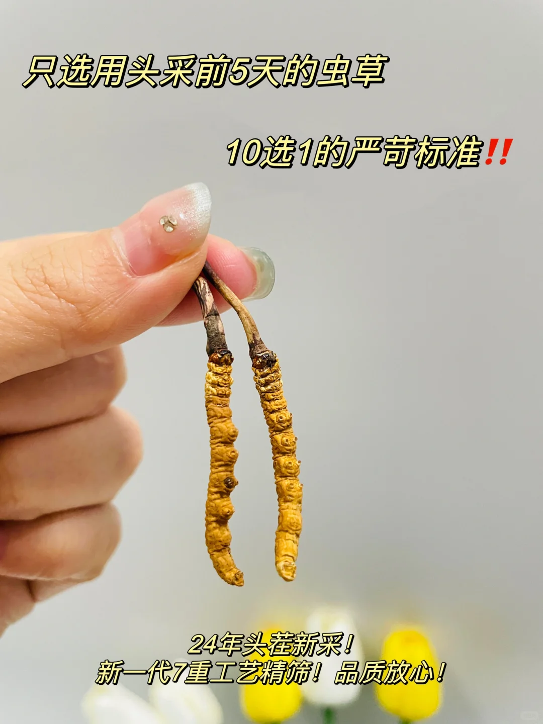 疲惫职场人刚需虫草‼️拒做“贝勒爷” 💪