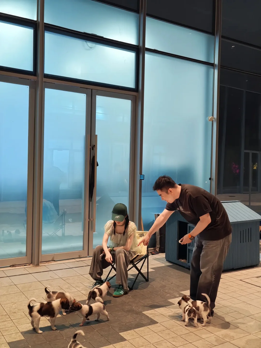 杭州滨江火了的翠花小狗是薇娅姐收养的啊！