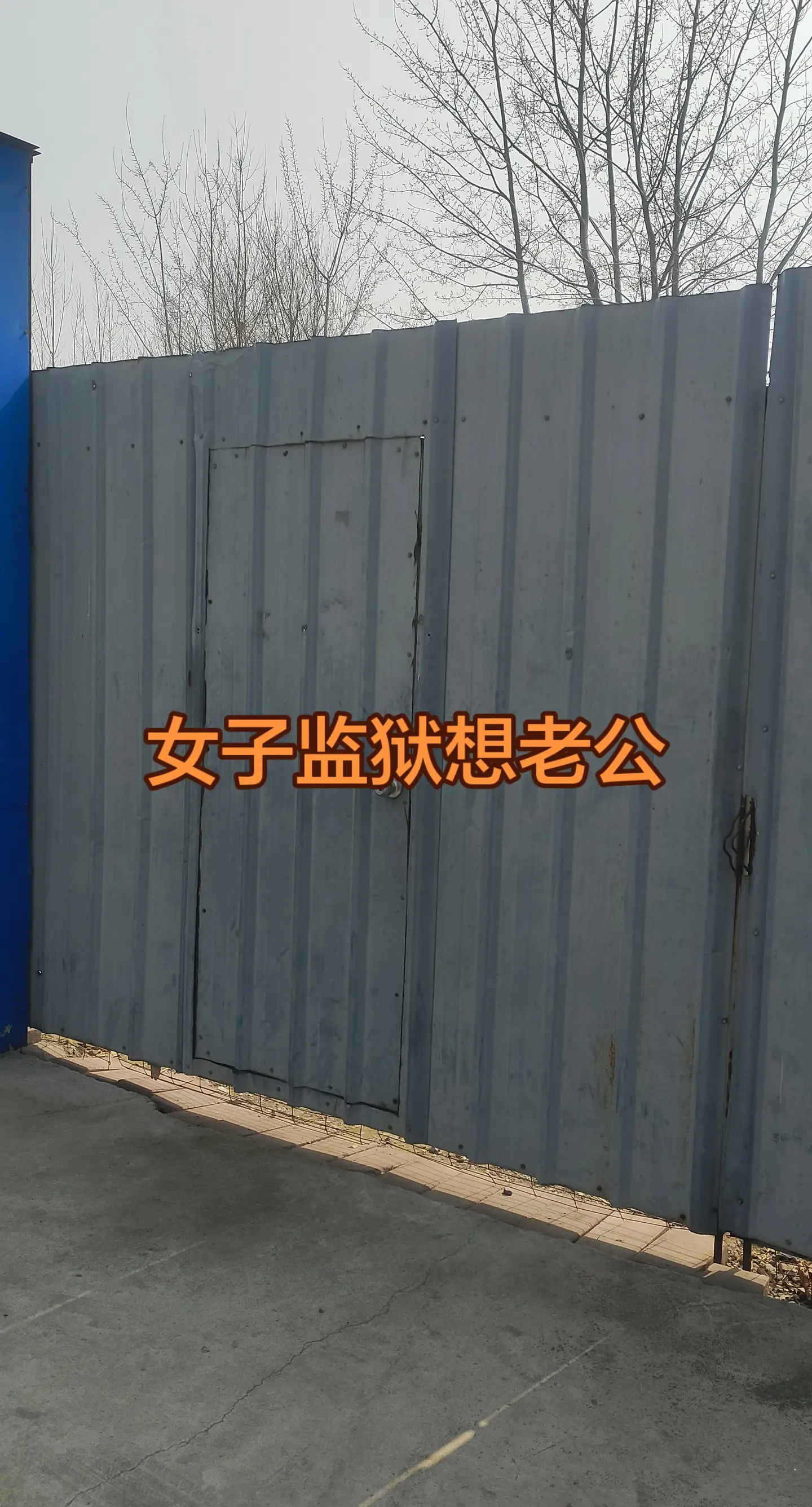 防护网
