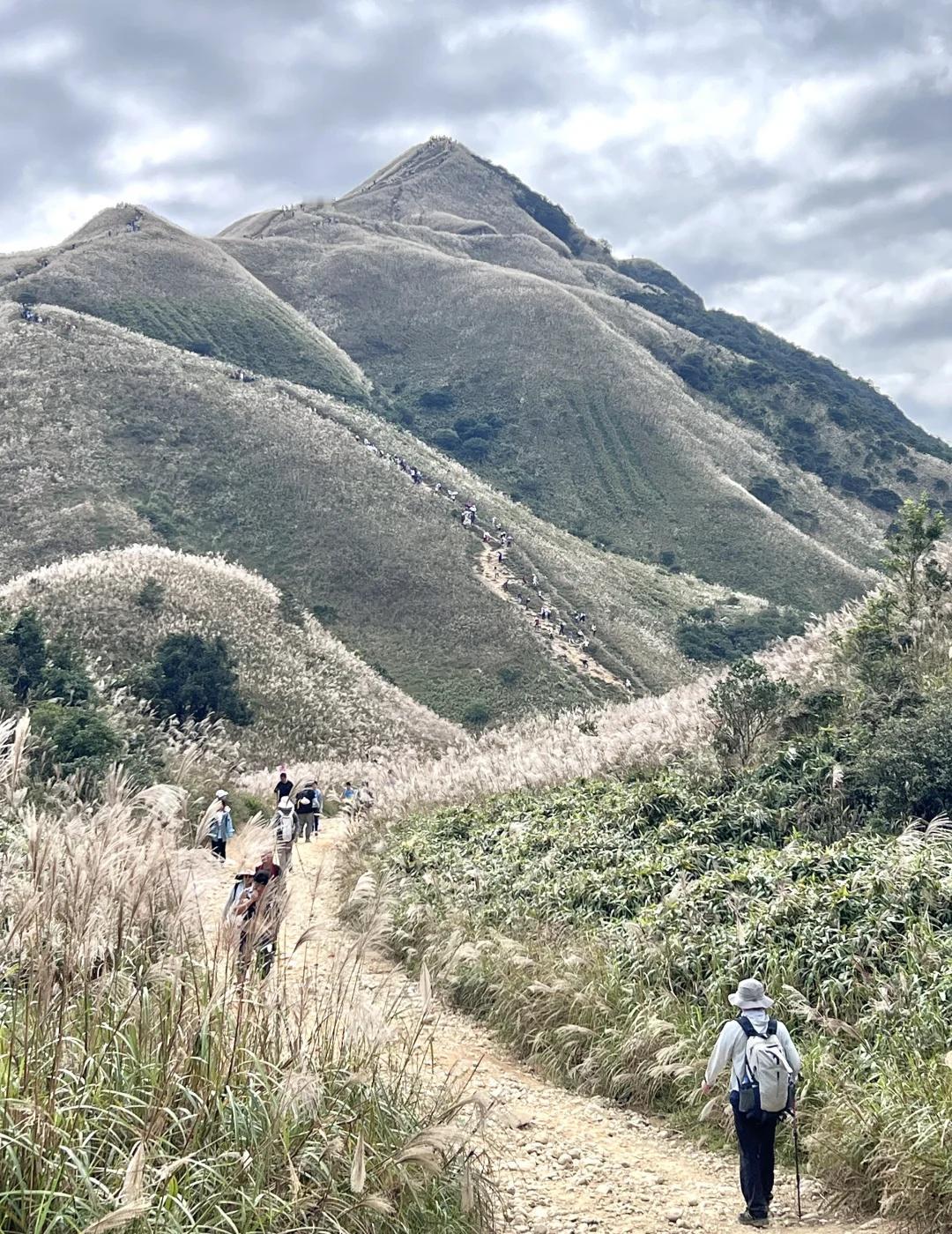 人生建议：一定要秋天去惠州大南山看芦苇荡
📍 地址：广东省惠州市惠东县多祝镇