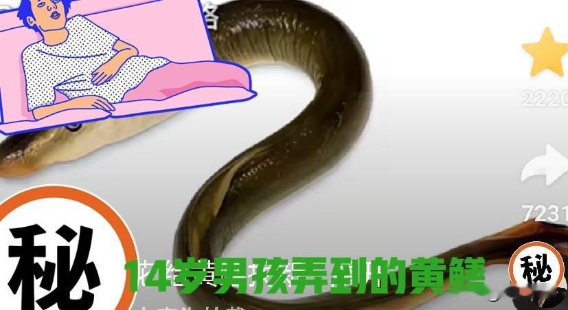 熊孩子年纪小玩的花，给黄鳝找新家，险些丧命！

讲述/申绅
撰文/红尘禅语

河