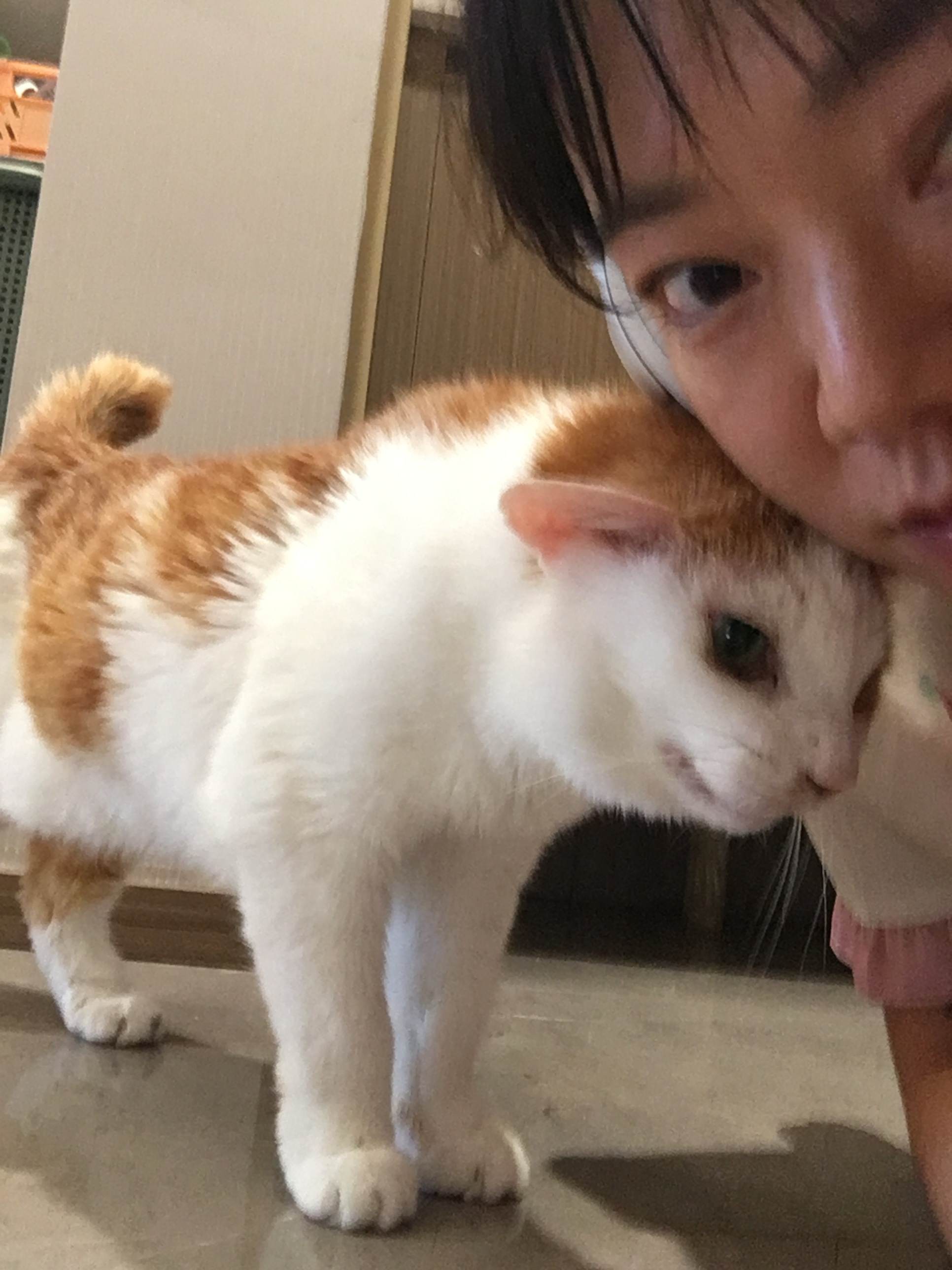 来自IP6S拍摄。 ​​​