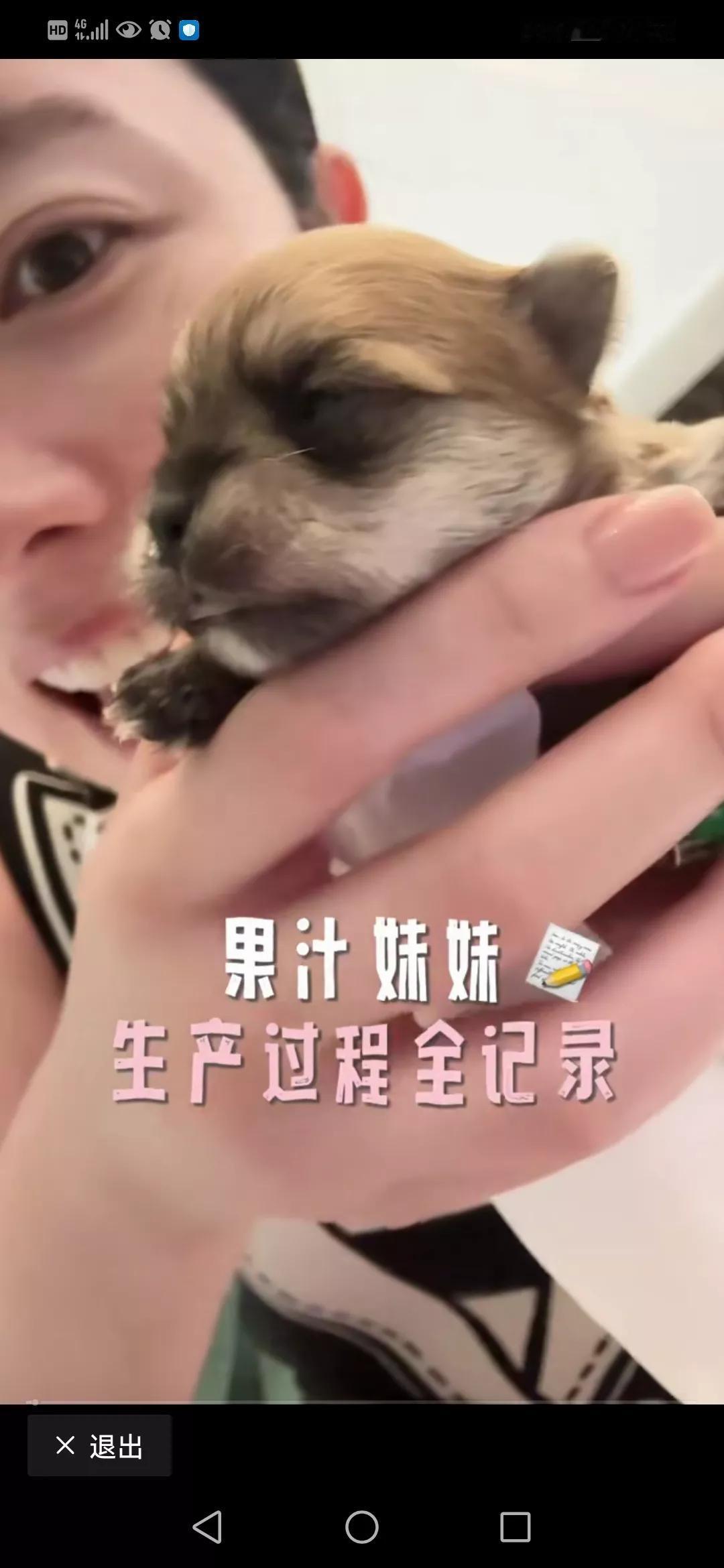 前央视主持人，晒自家狗狗的生产过程，得到了几乎一边倒的群嘲。
谁能想到台上睿智的