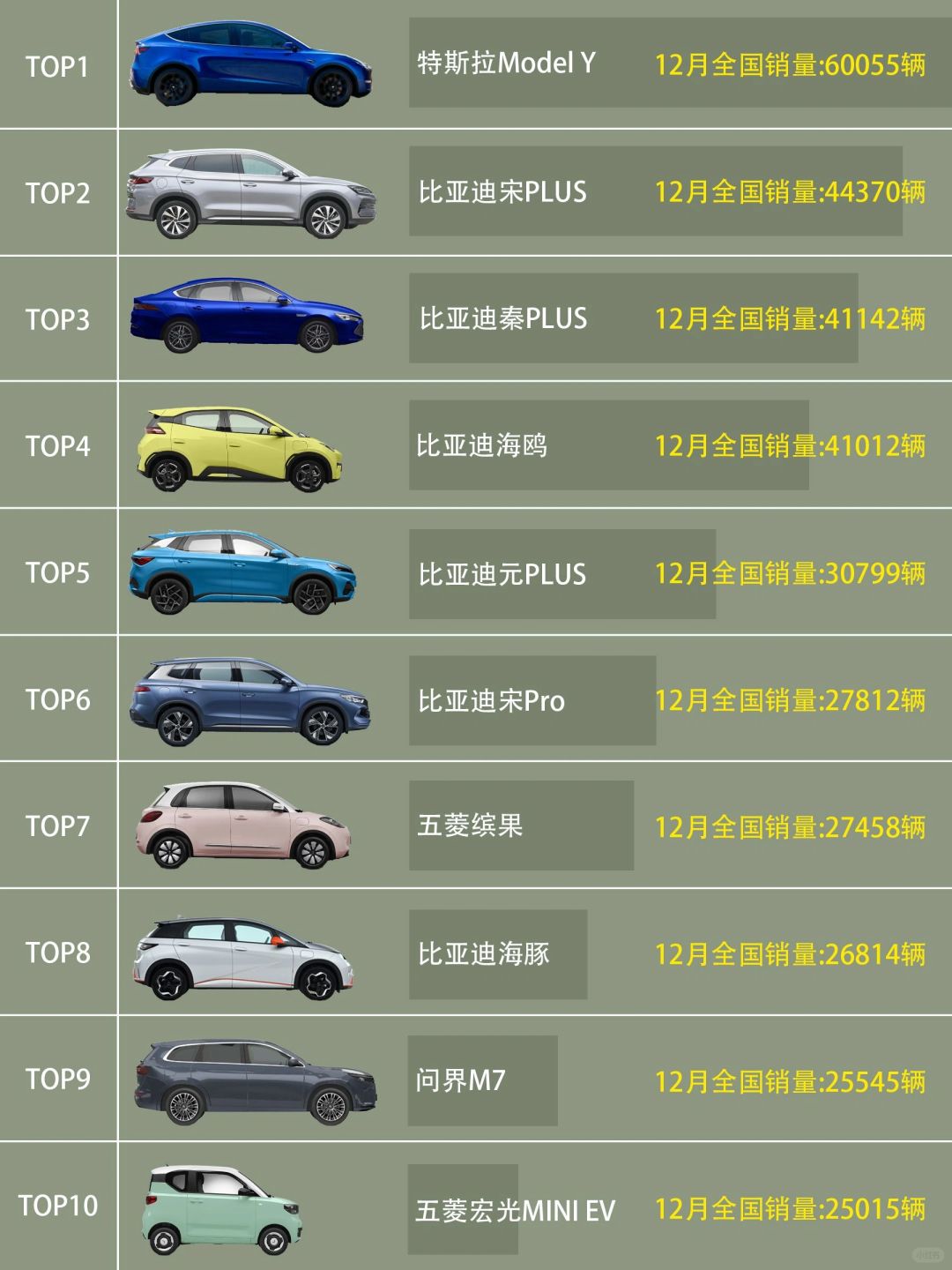 12月国内🇨🇳新能源汽车销量TOP10排名