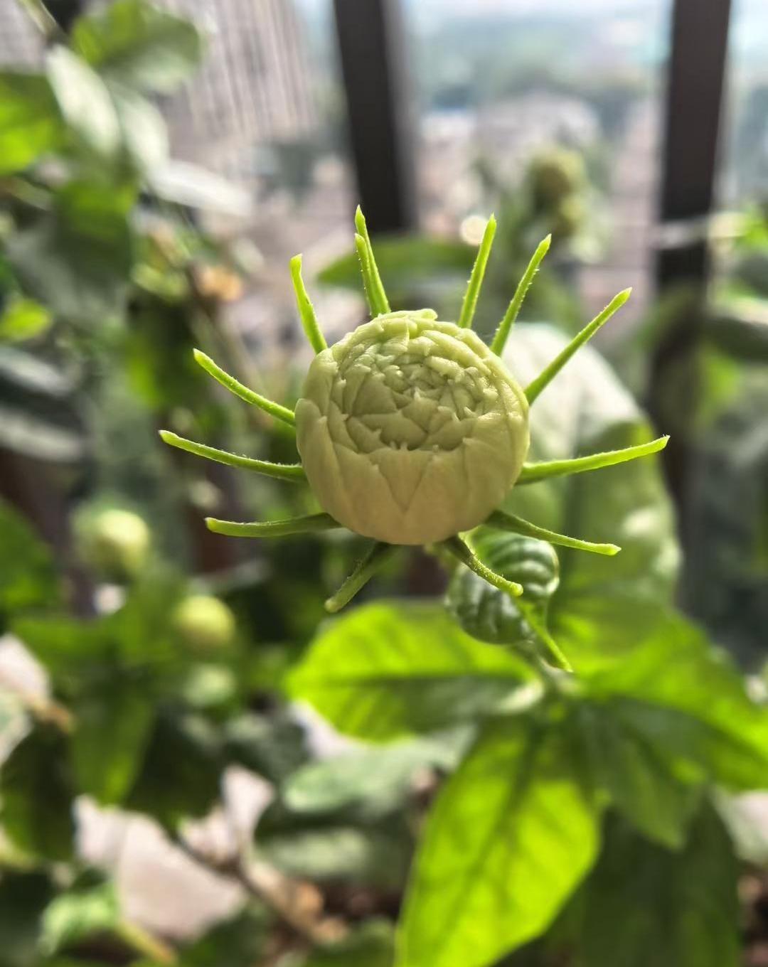 这位语文老师因为失恋，把整个班的成绩都带崩了，这事儿一开始真让人挺生气的。
一个