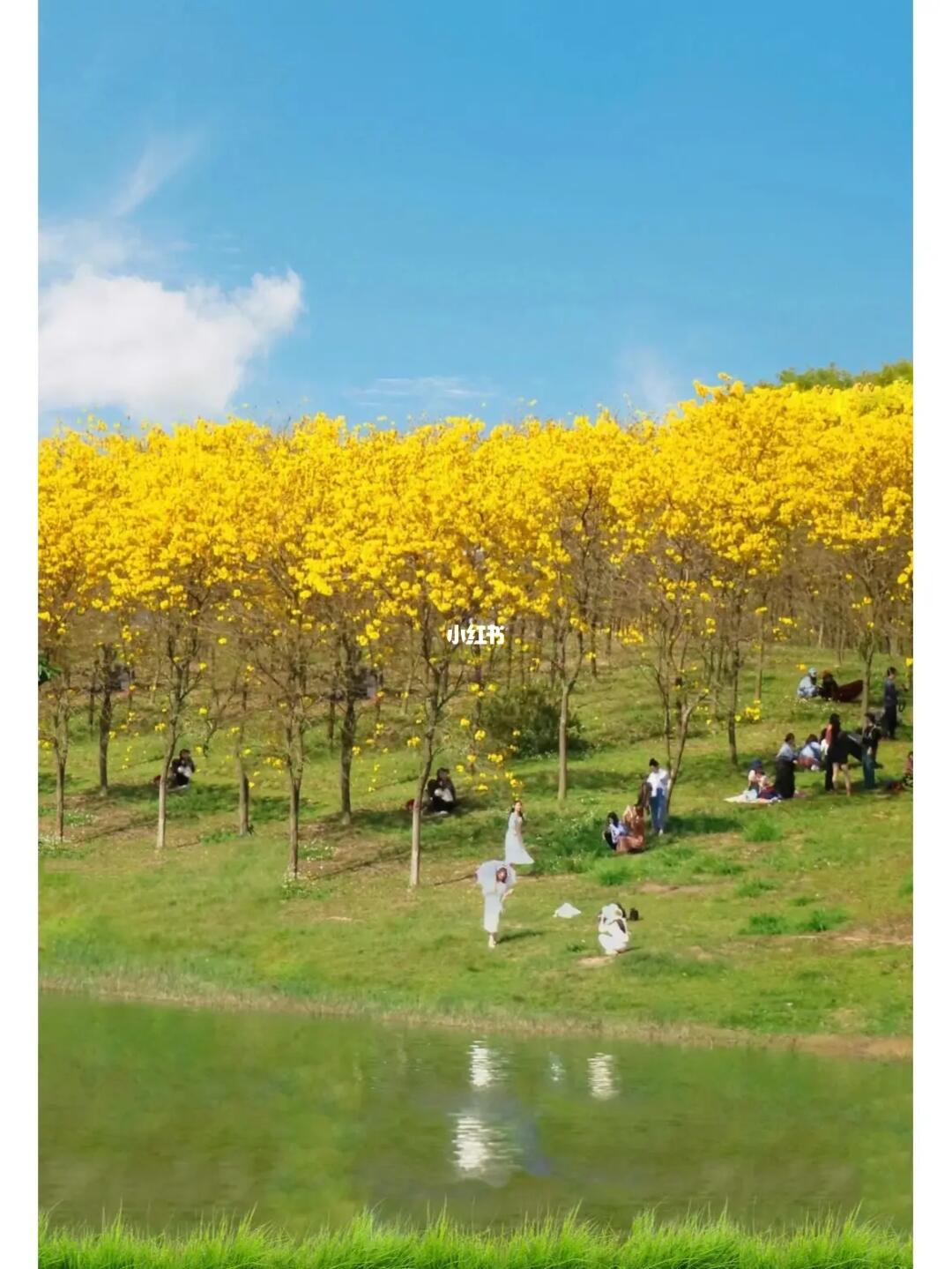 东莞我熟，去过最喜欢的9⃣个景点