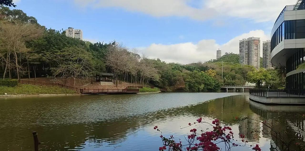 14岁初中生初三突变，活泼变沉默，常喊累到心碎，家长诊断抑郁后，服药还是沟通成难