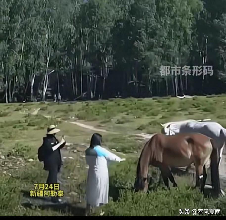 不作死就不会死！”新疆阿勒泰，两个女游客不听劝，执意要摸马屁股，没想到，马转过身