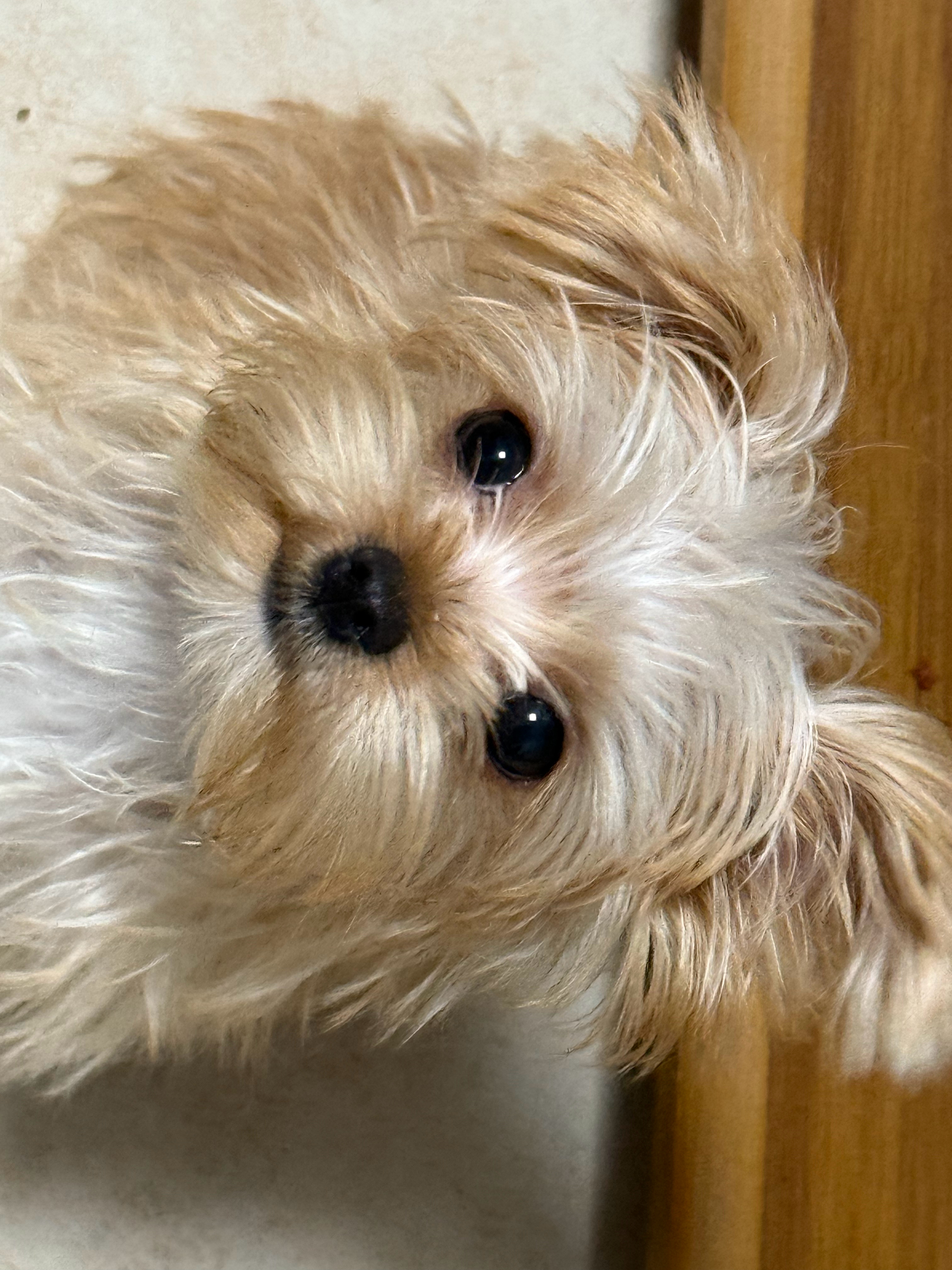 分享图片 ​​​