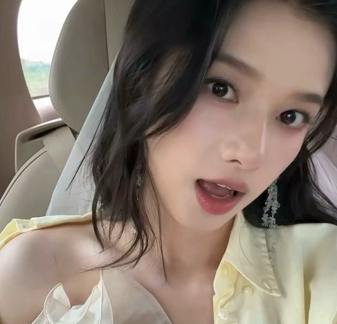张婧仪｜书云辞 