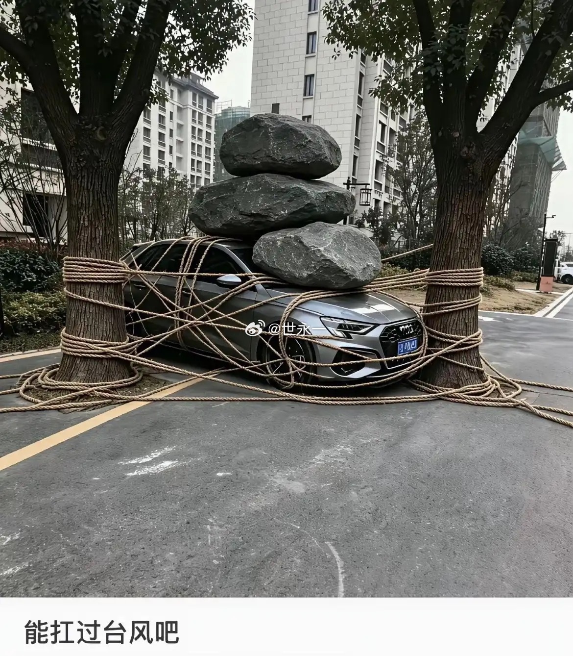 对台风最尊重的人出现了 