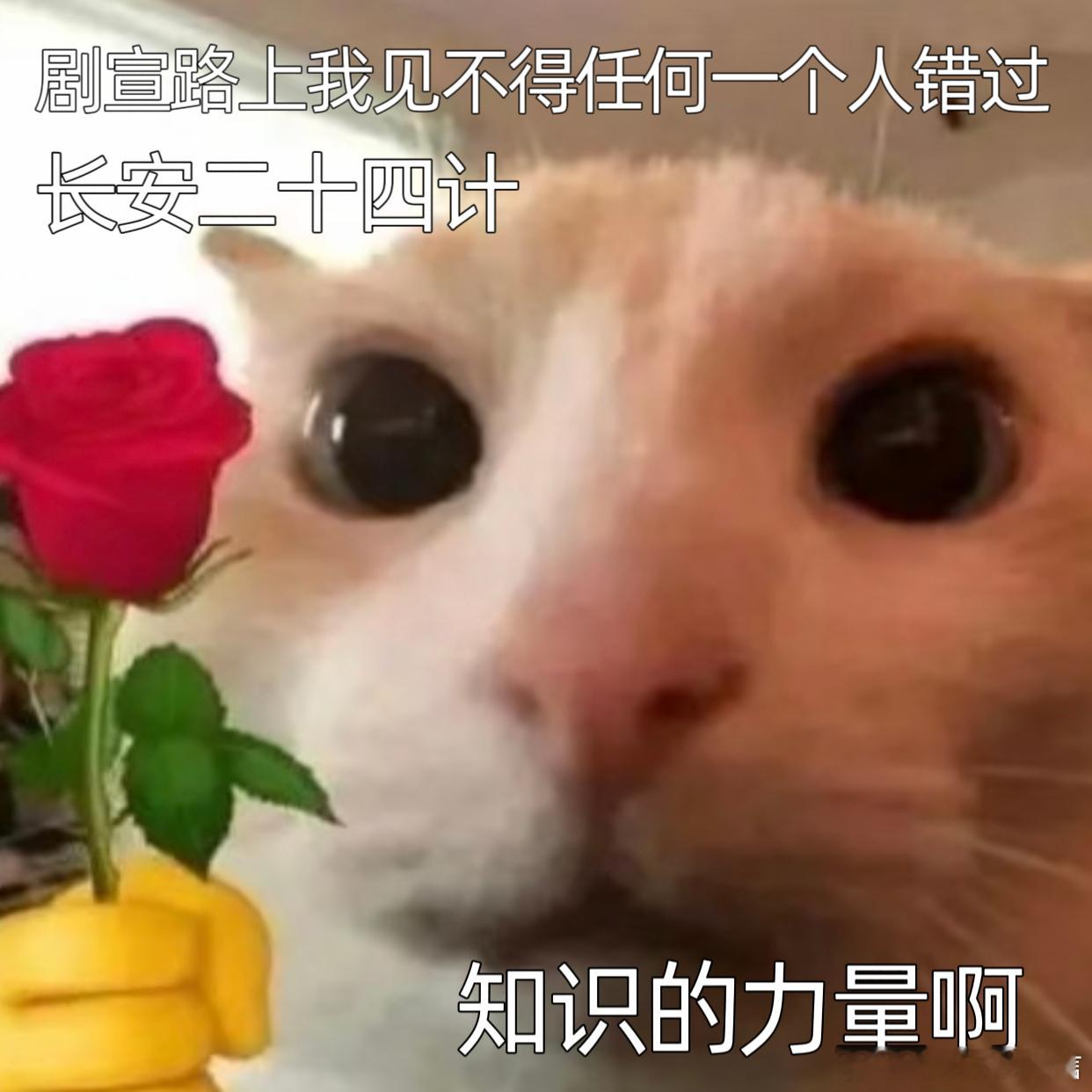 长安二十四计开辟剧宣新赛道长安二十四计智力博弈爽感爆棚！谢淮安蛰伏十年复仇，老戏