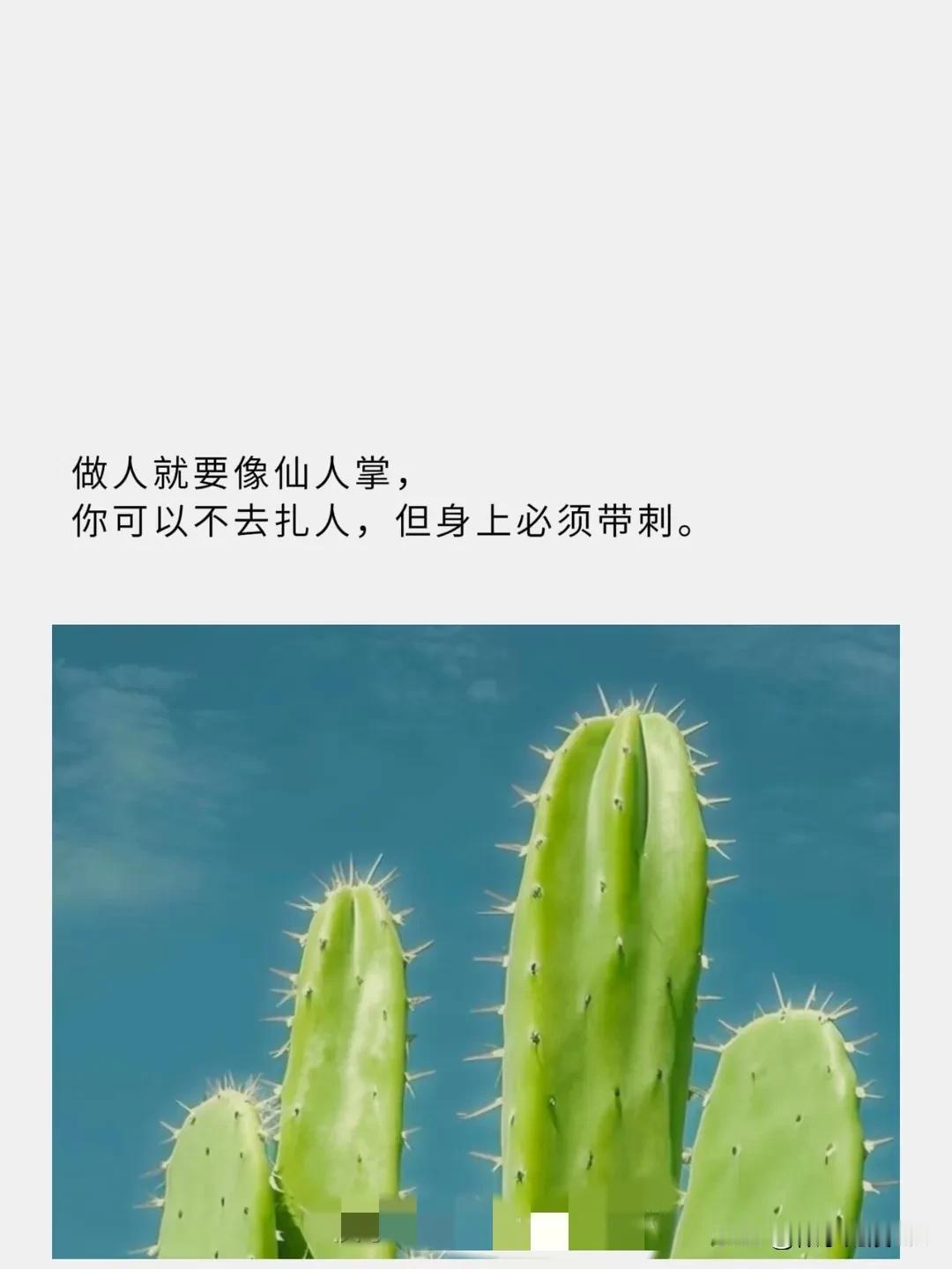 多听少说，才是真正的聪明人