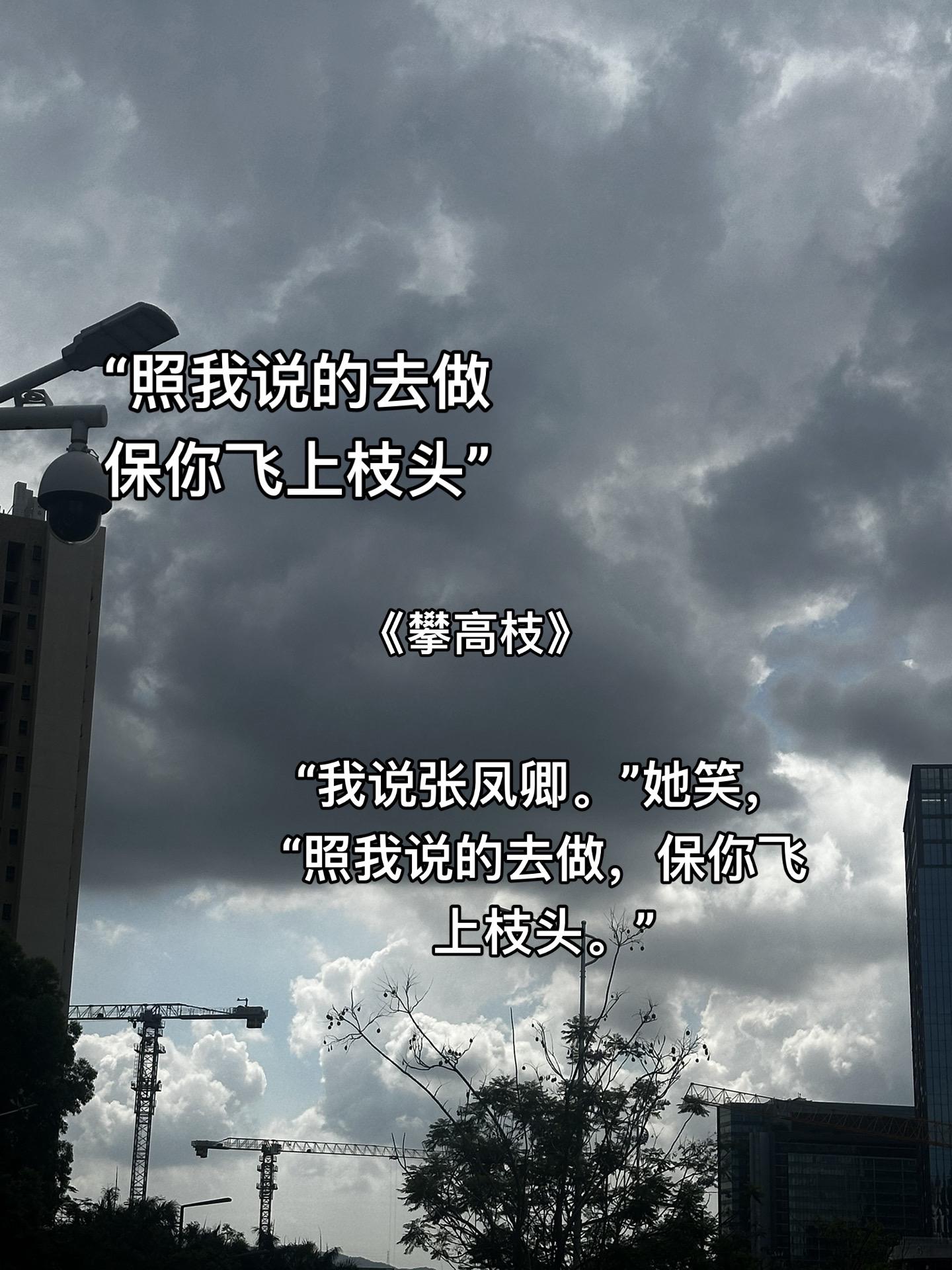 扮猪吃老虎 外人眼中的陈宝香 自私虚伪 贪财好色 最初连张之序也她被骗过.