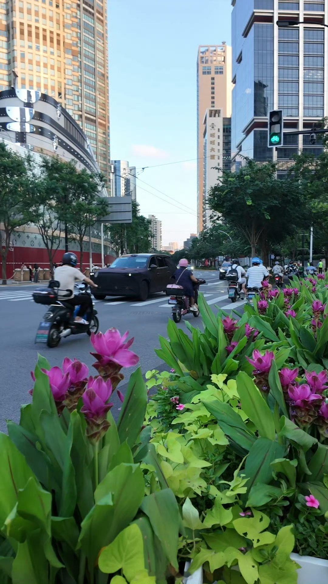 LV巨轮前惊现老花伪装车 上海街头惊现“最奢侈的伪装车”，花纹撞衫LV巨轮，这伪