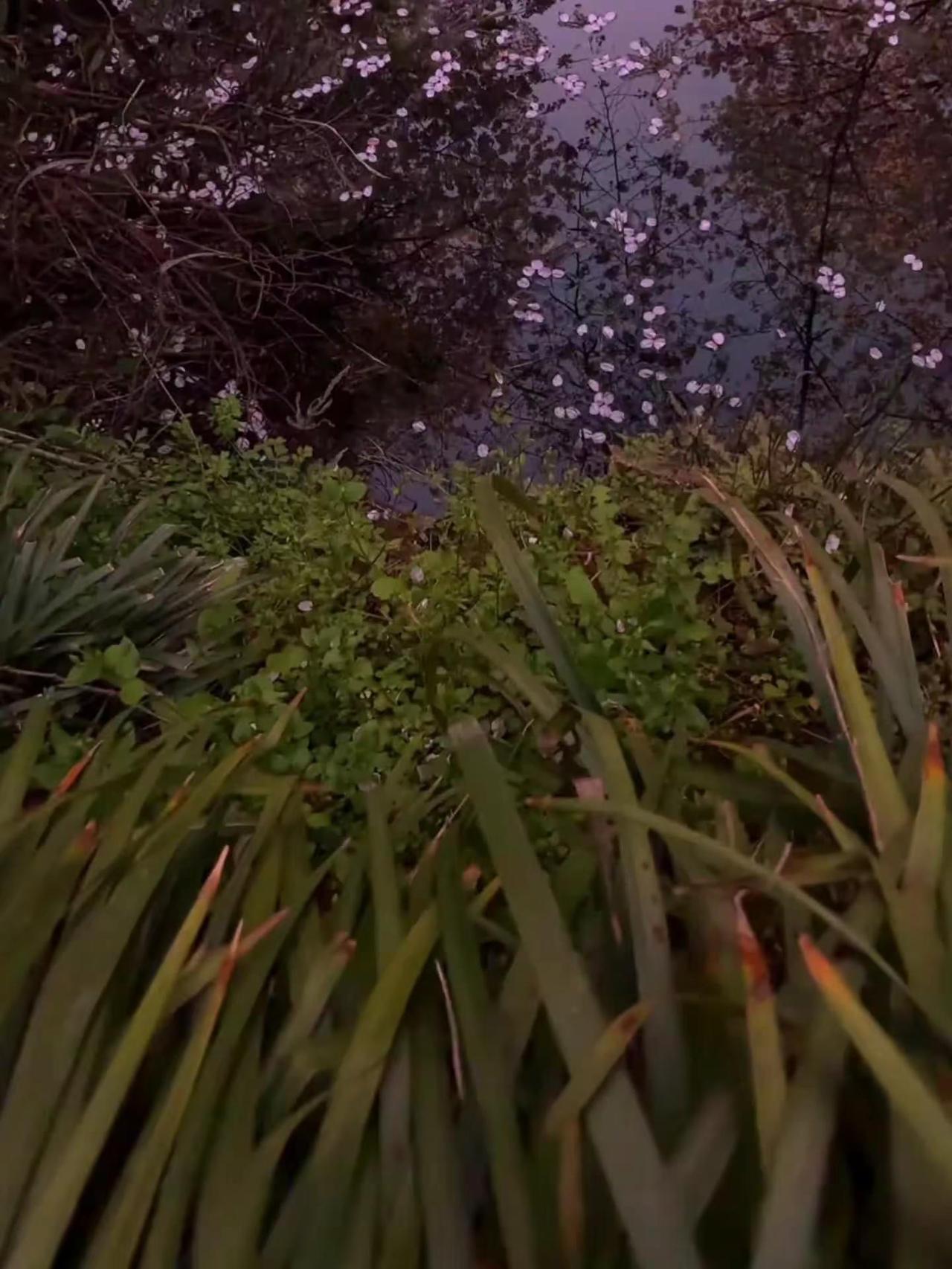 好景难遇 如你一般