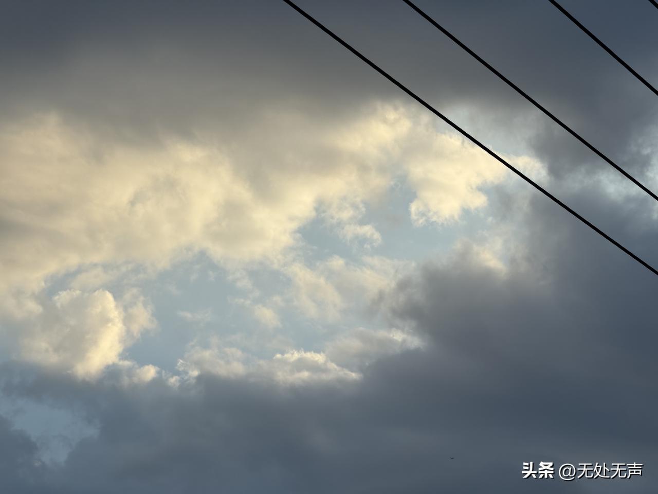 莫言：​
为什么越善良的人，​最后越无情？​不是他们铁石心肠，​而是他们用尽了一