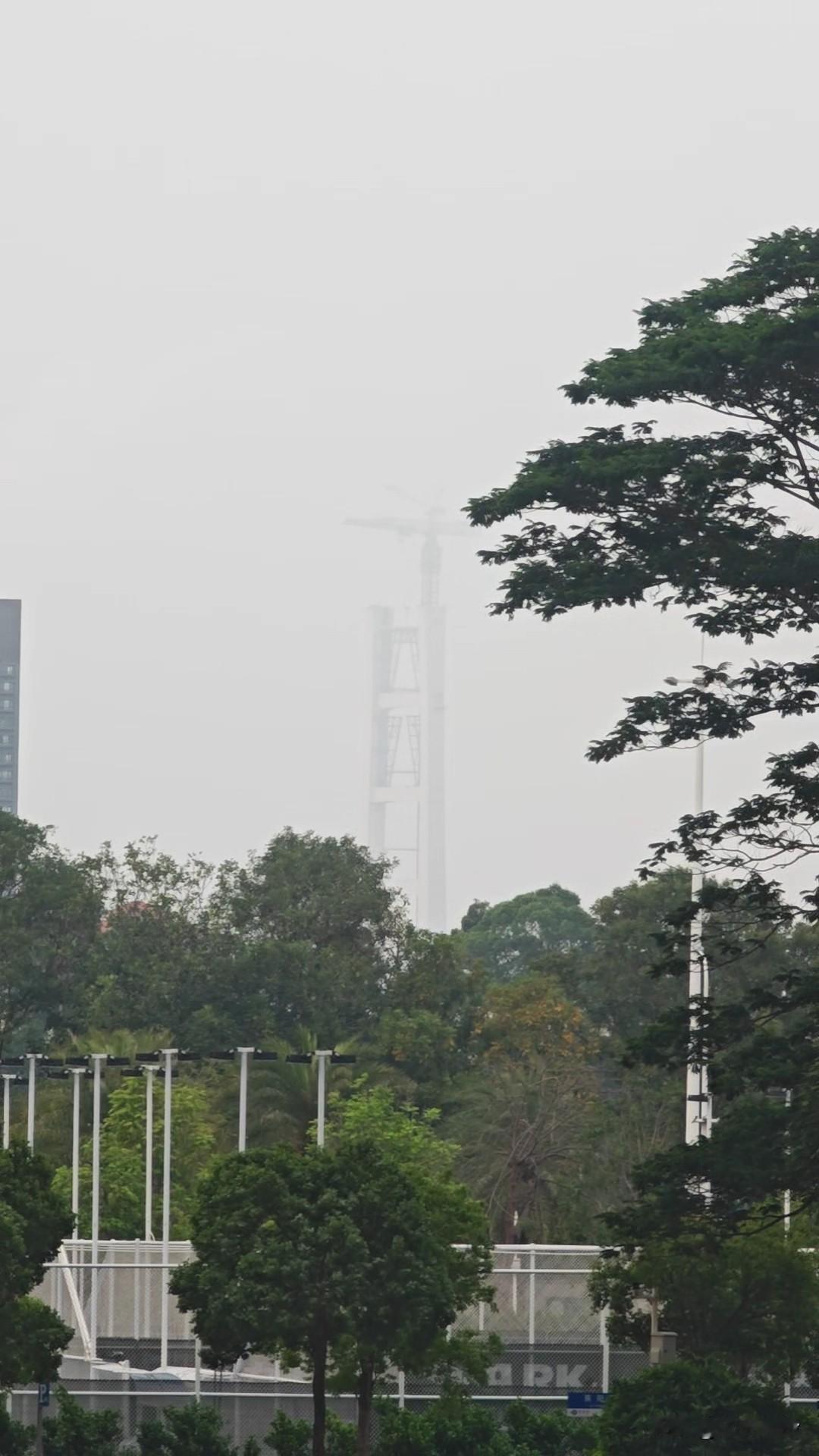 【南沙飞机低飞有解了？】南沙未来最高的地标不是高楼也不是高塔，而是一座大桥。高度