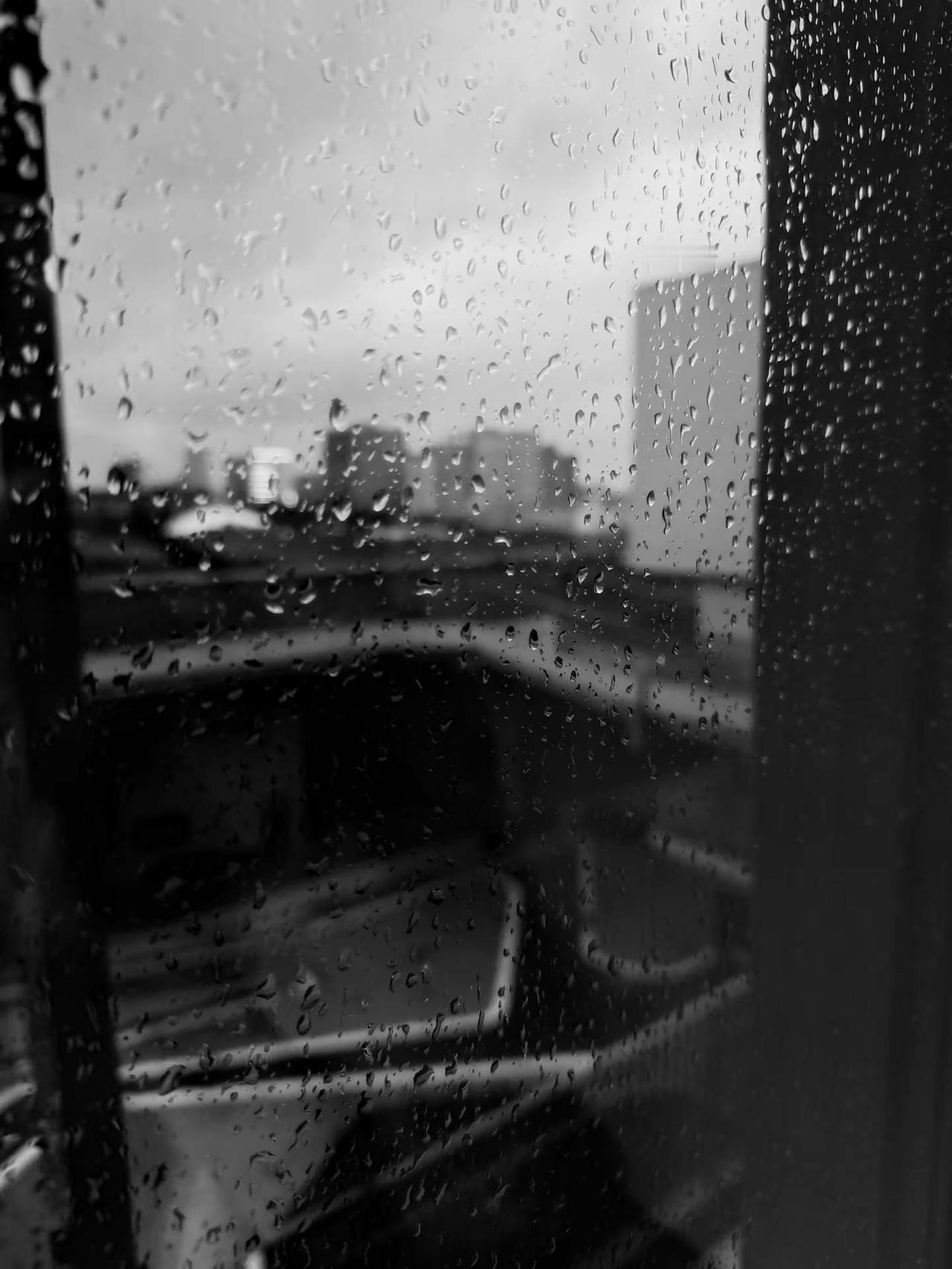 🌂。国际学校 赫贤国际学校 白海豚