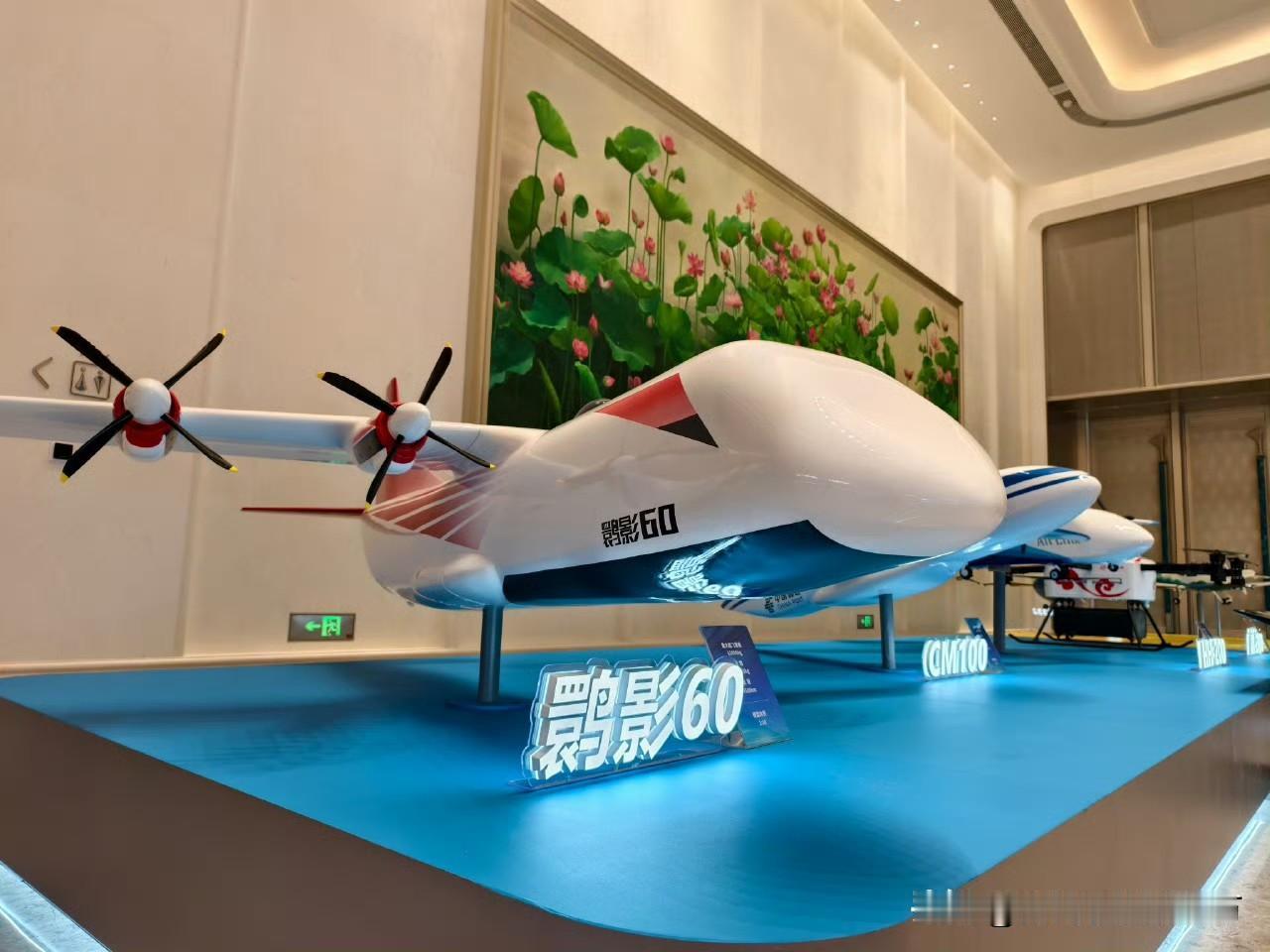 [呲牙] 这个有意思，世界上载重最大的无人机，载重20吨，航程4500公里——鹮