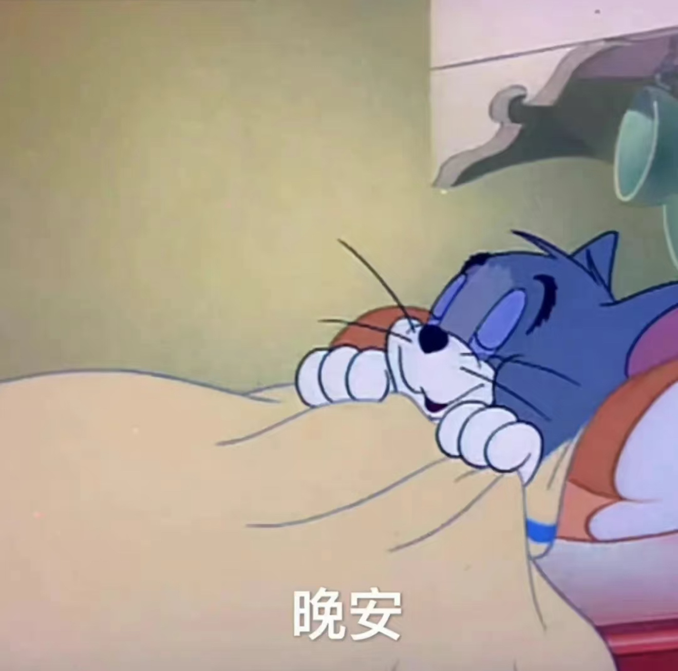 晚安，早点睡🛌💤 