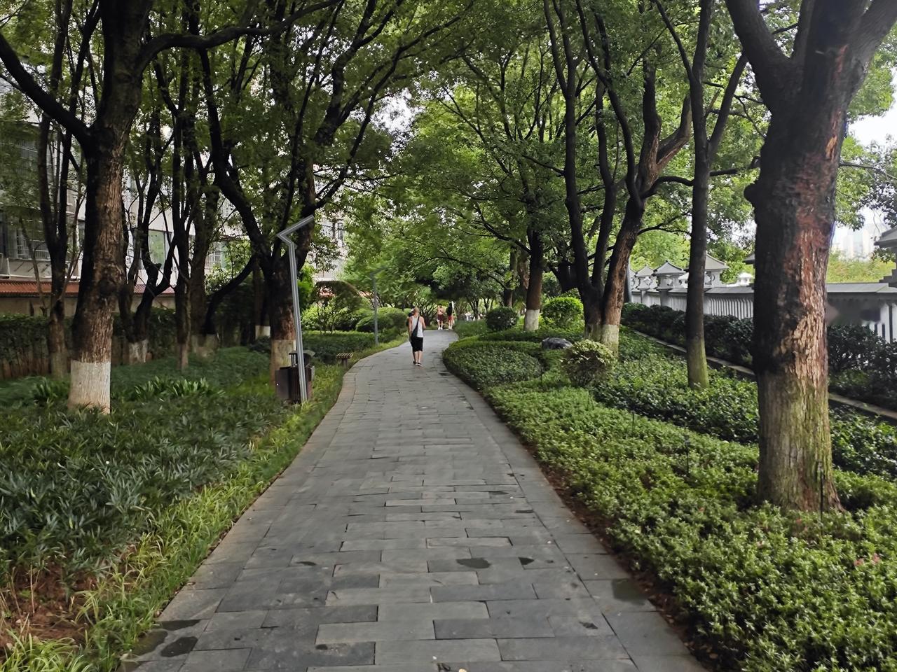 前几日回乡下老家，在村口撞见了当年教我小学语文的李老师。
印象里他总站在土坯讲台
