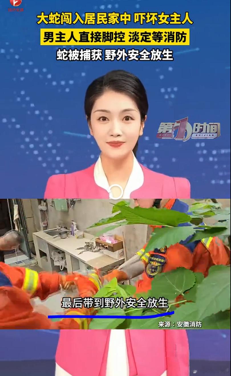 大蛇进家吓跑女主人丈夫淡定踩蛇 有男有女的时候，要论勇气还是得看男的。不过如果没