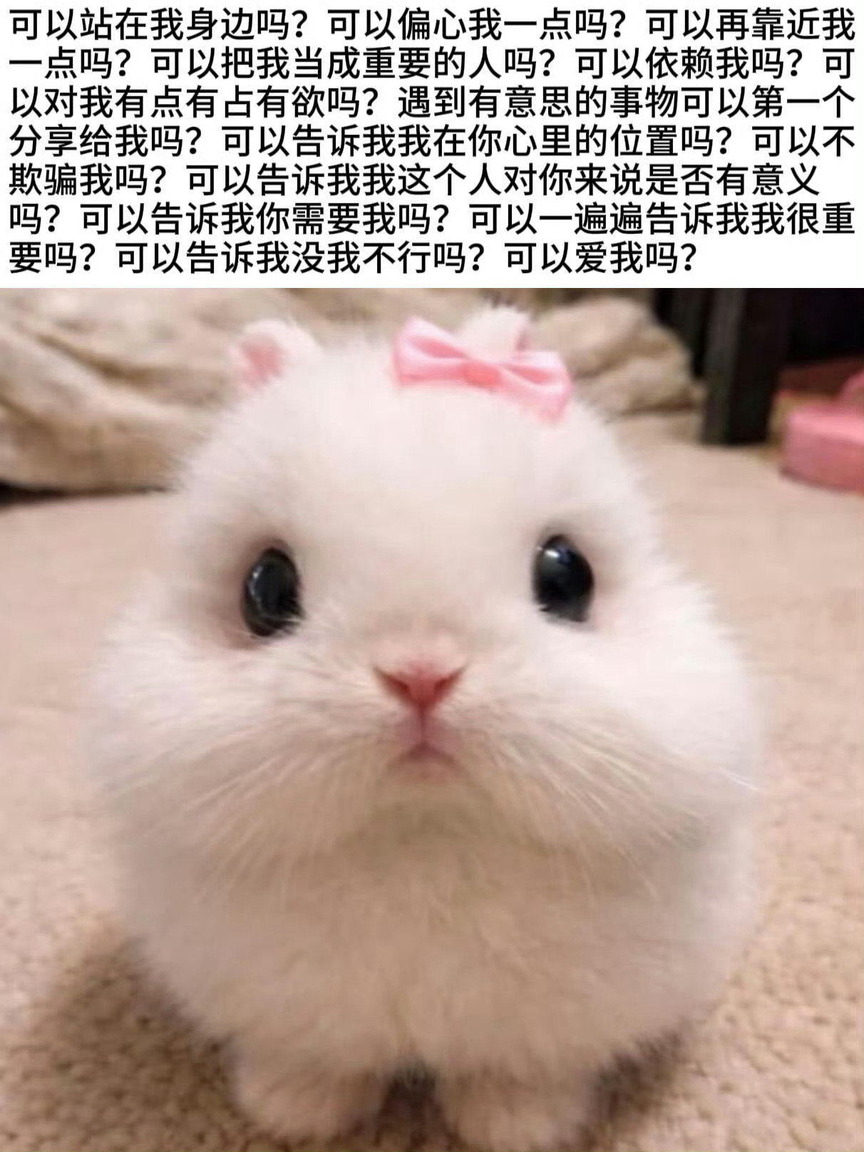 【10681】🥺 