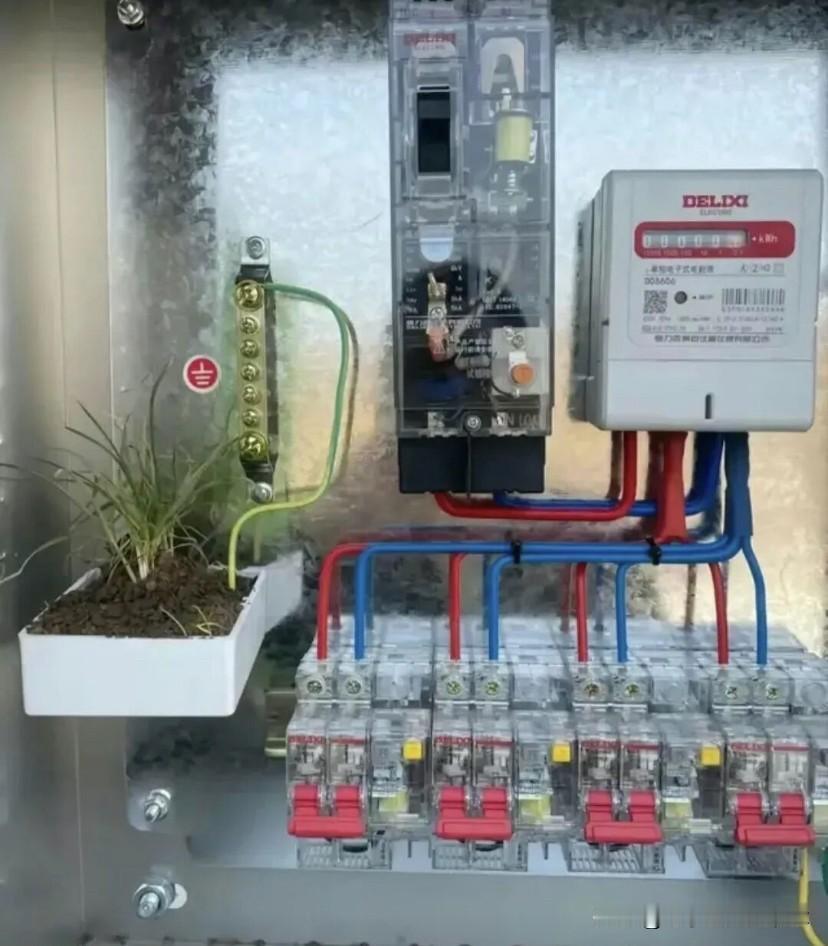 今天看到了一篇文章写关于介绍城阳电工事迹的。看过之后，我想城阳电工确实有许多我们