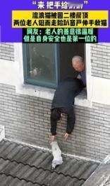 “骨子里的善良！”9月14日浙江一奶奶发现流浪猫被困在房檐上后，就外挂在窗户外，