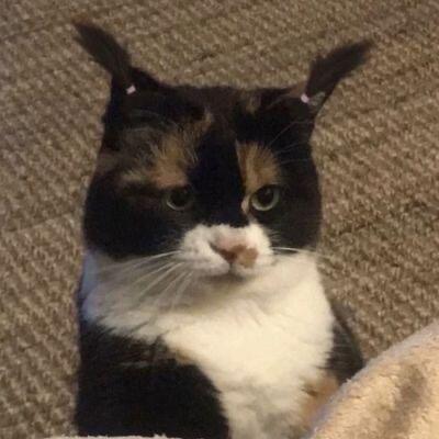 再也不抢微博红包了，它玩不起，红包还搞抽奖。我也玩不起，抢不到就不爽所以，不抢了