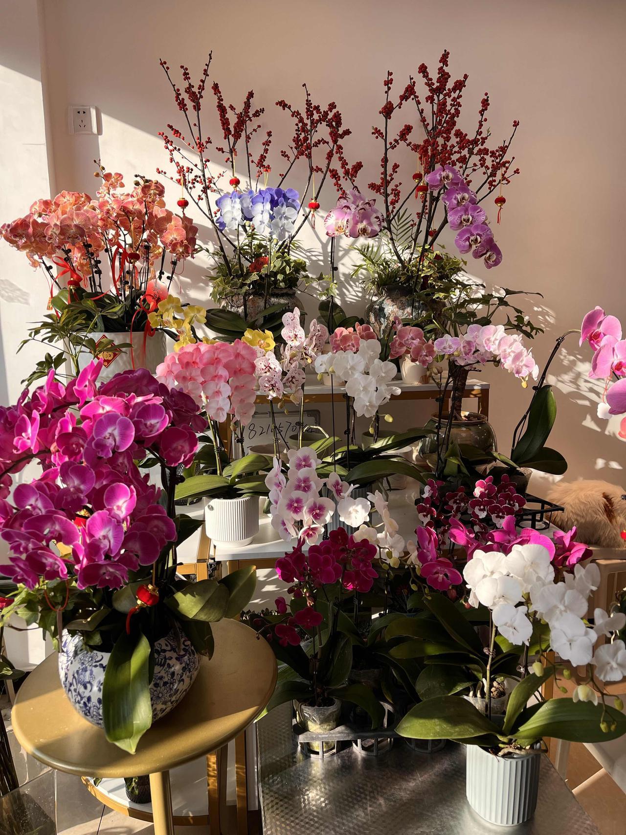 2026年2月13日龙虎榜乙巳蛇年收官
 净买入前五：
1. 华胜天成（6004