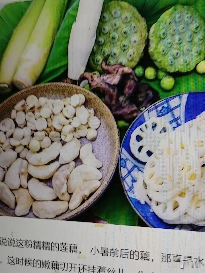 老话说“小暑吃藕片一年病不沾”，这说法还真有道理。藕片营养丰富，富含维生素 C、