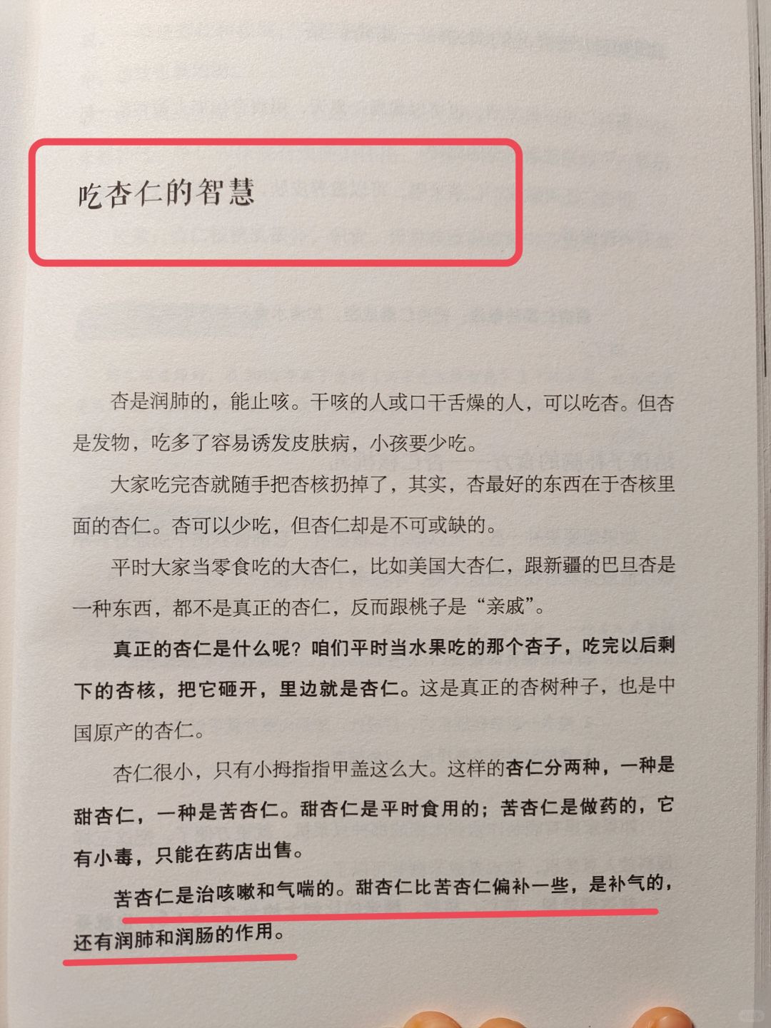 陈允斌老师——吃杏仁的智慧🔥