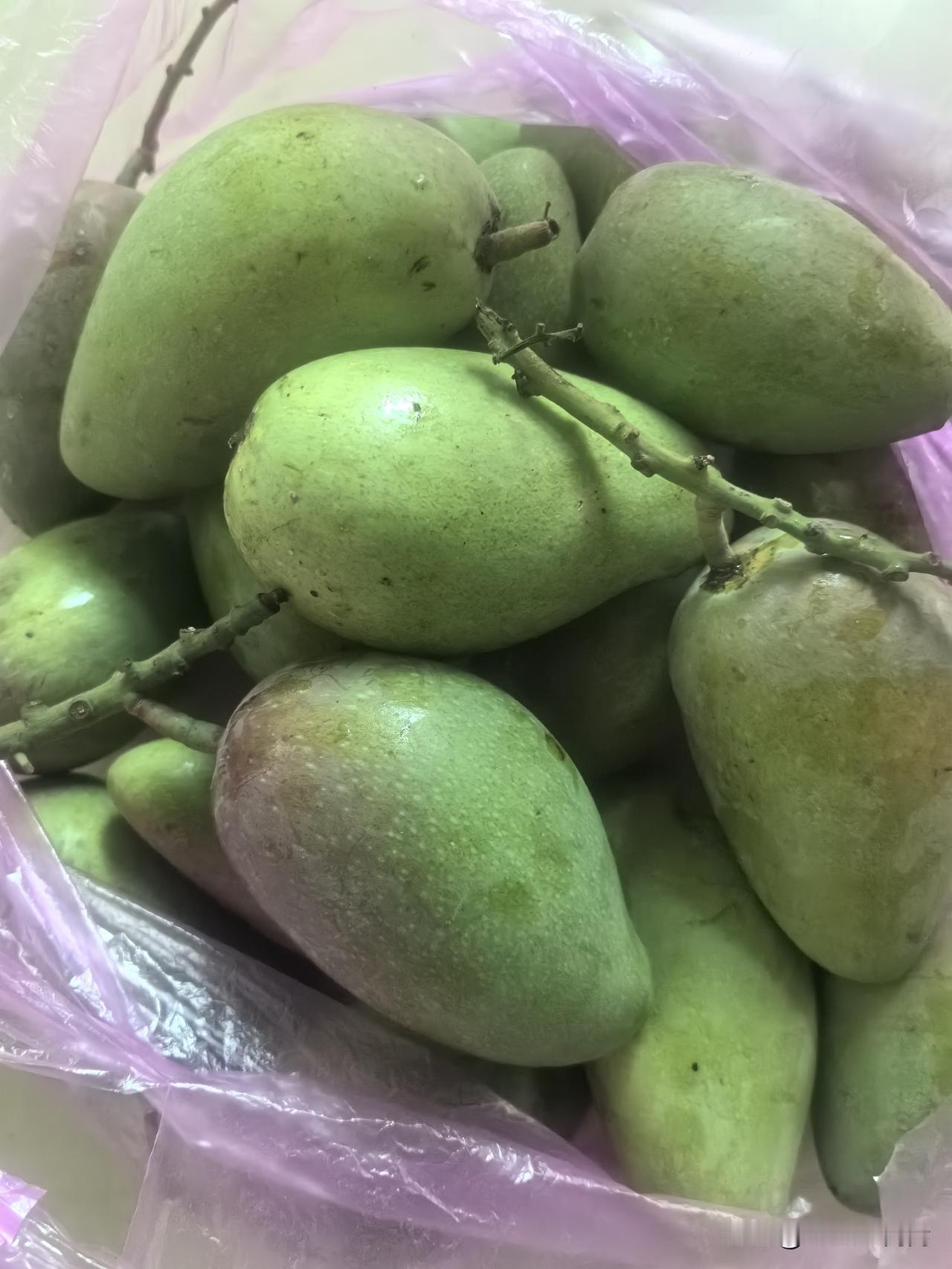 喜欢海南贵妃芒果！4月25日从网上第二次买的五斤又到货了，快递从树梢直达我手中，