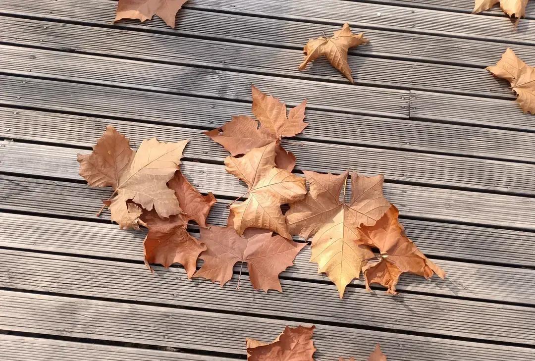 刷到个姑娘说昨晚十一点半吞了安眠药，六点半天刚亮就被楼上电钻吵醒，睁眼到天亮。