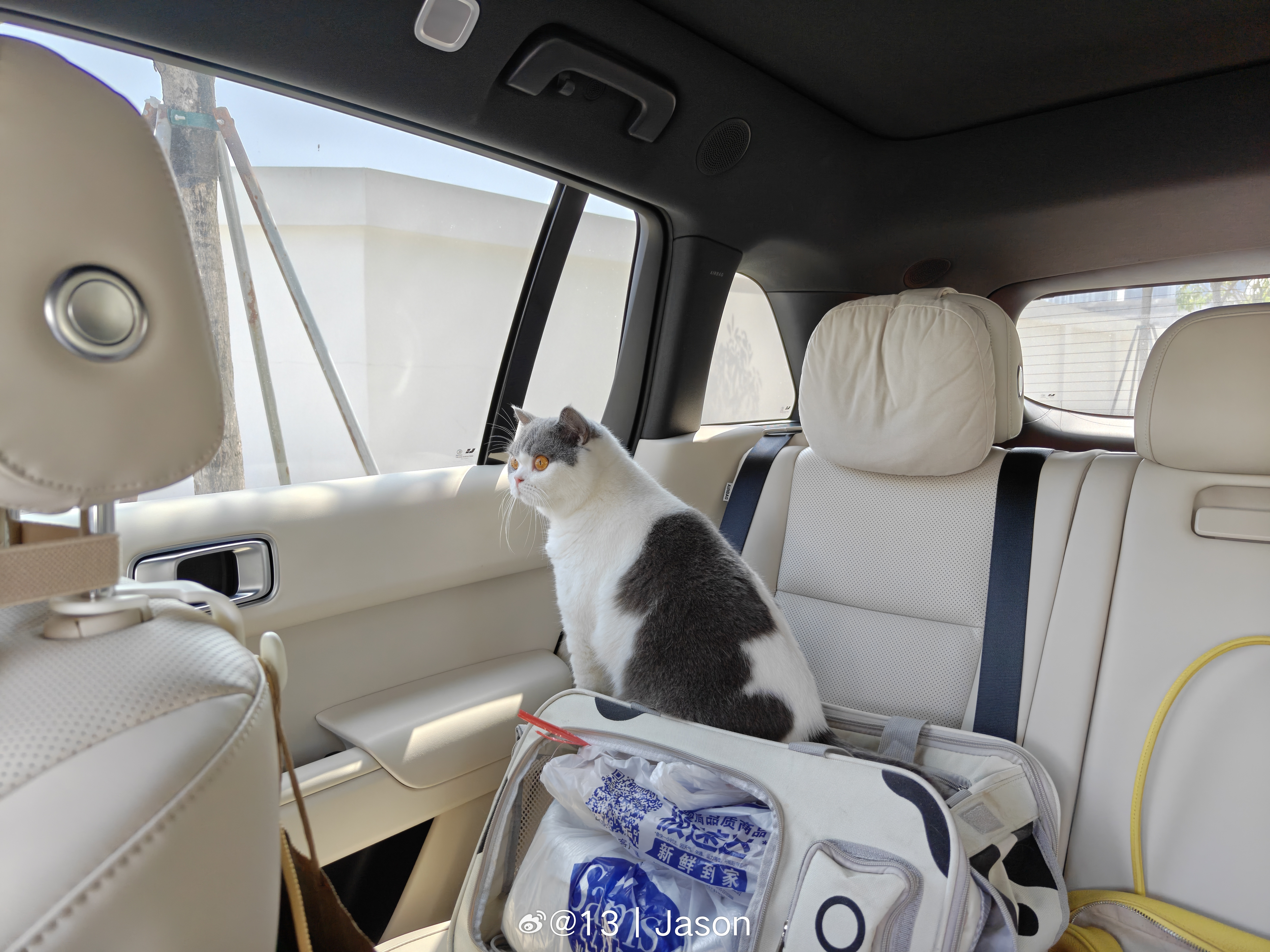 山姆配送员 GOOD🐱，很快就会把货物配送到家啦。 