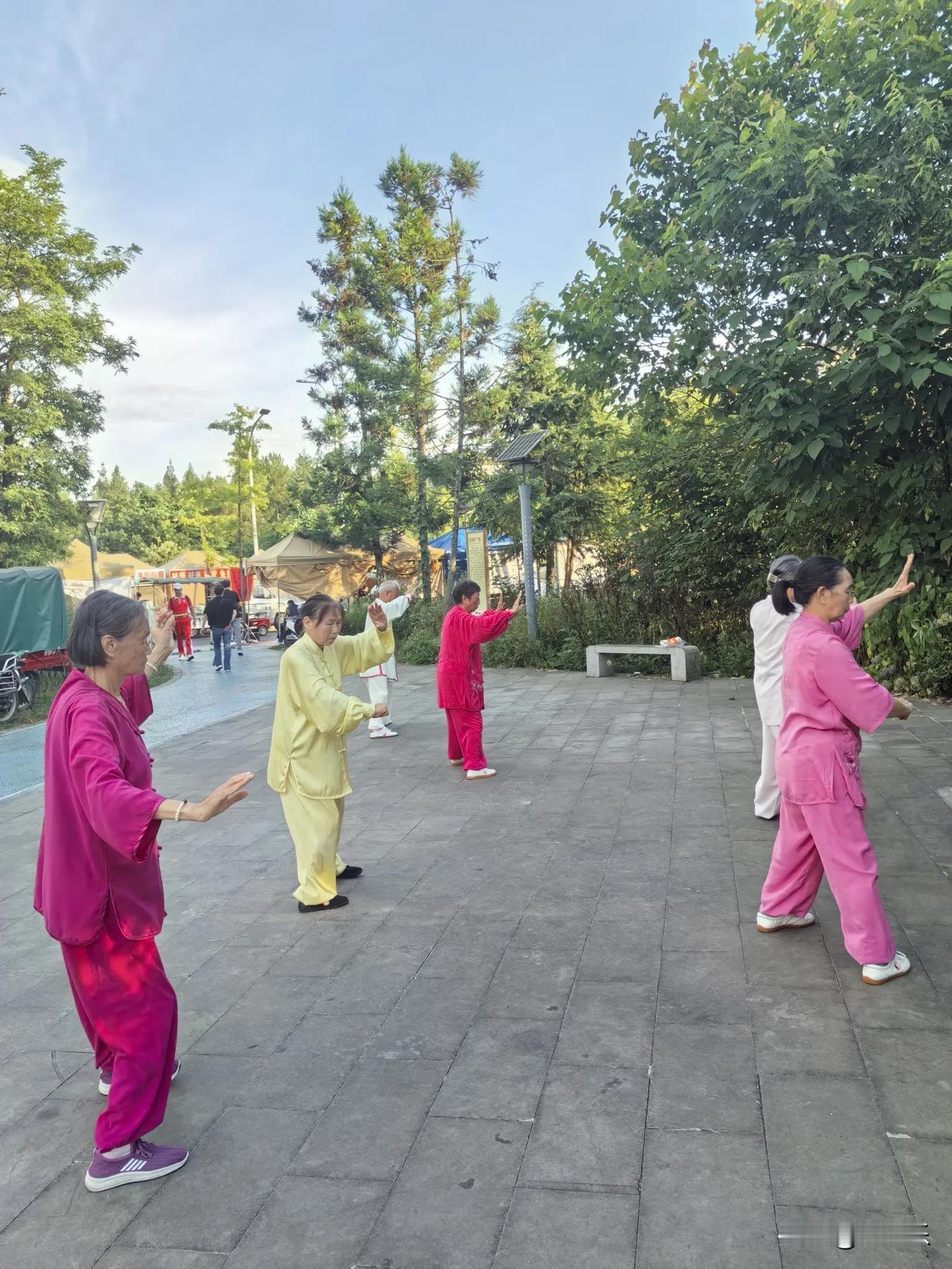 动步公园的太极，把静字练进了骨子里

清晨的动步公园入口，晨曦透过树梢，洒在青砖