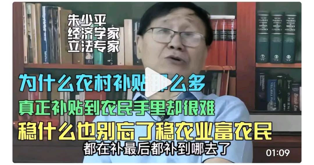 农业补贴必须直接发到村公所，个体农民不管是养了一只鸡一只鹅还是种了一块地都能领到